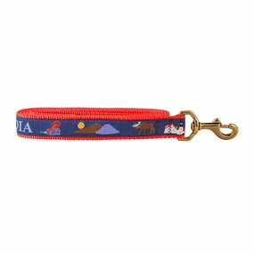 Acadia Ribbon Dog Leash