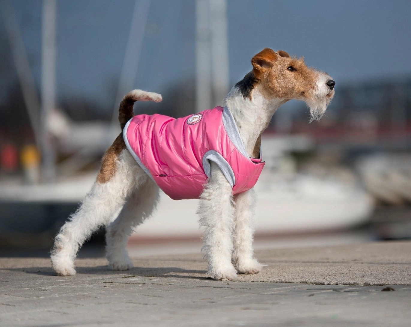 Amiplay Bronx - Waterproof thick insulated jacket - Pink