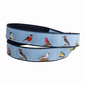 Backyard Birds Ribbon D-Ring Belt