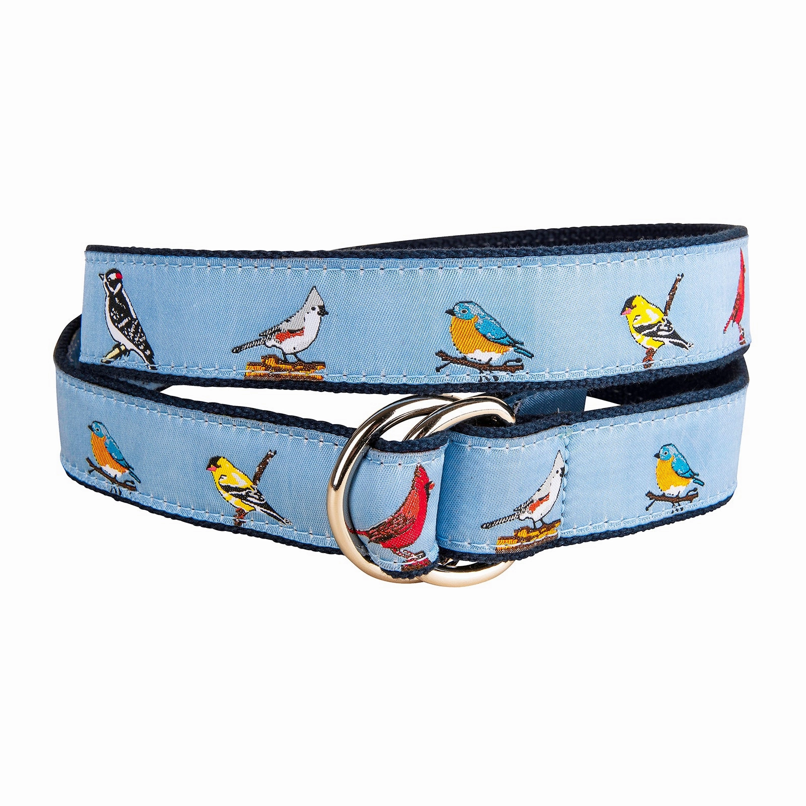 Backyard Birds Ribbon D-Ring Belt