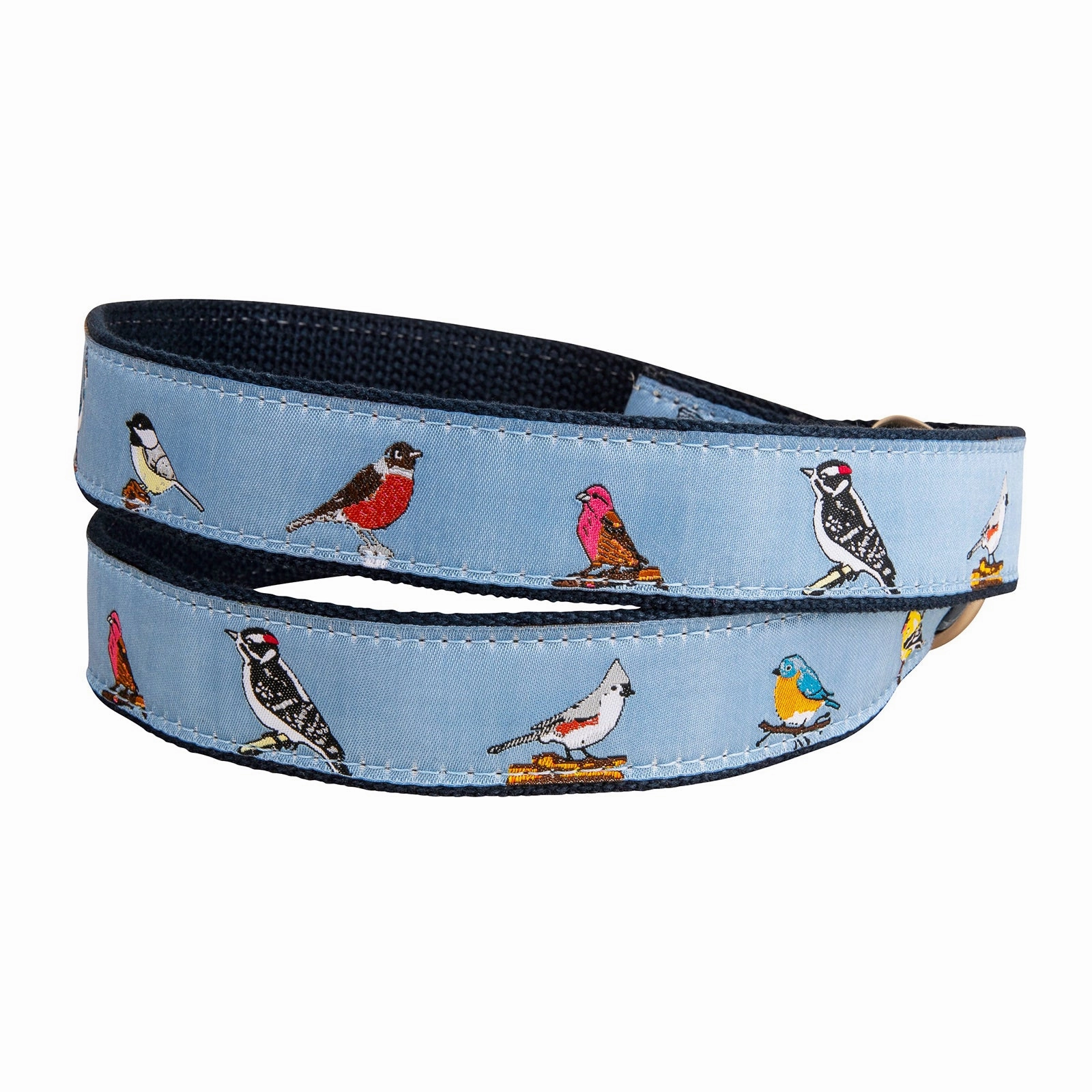 Backyard Birds Ribbon D-Ring Belt