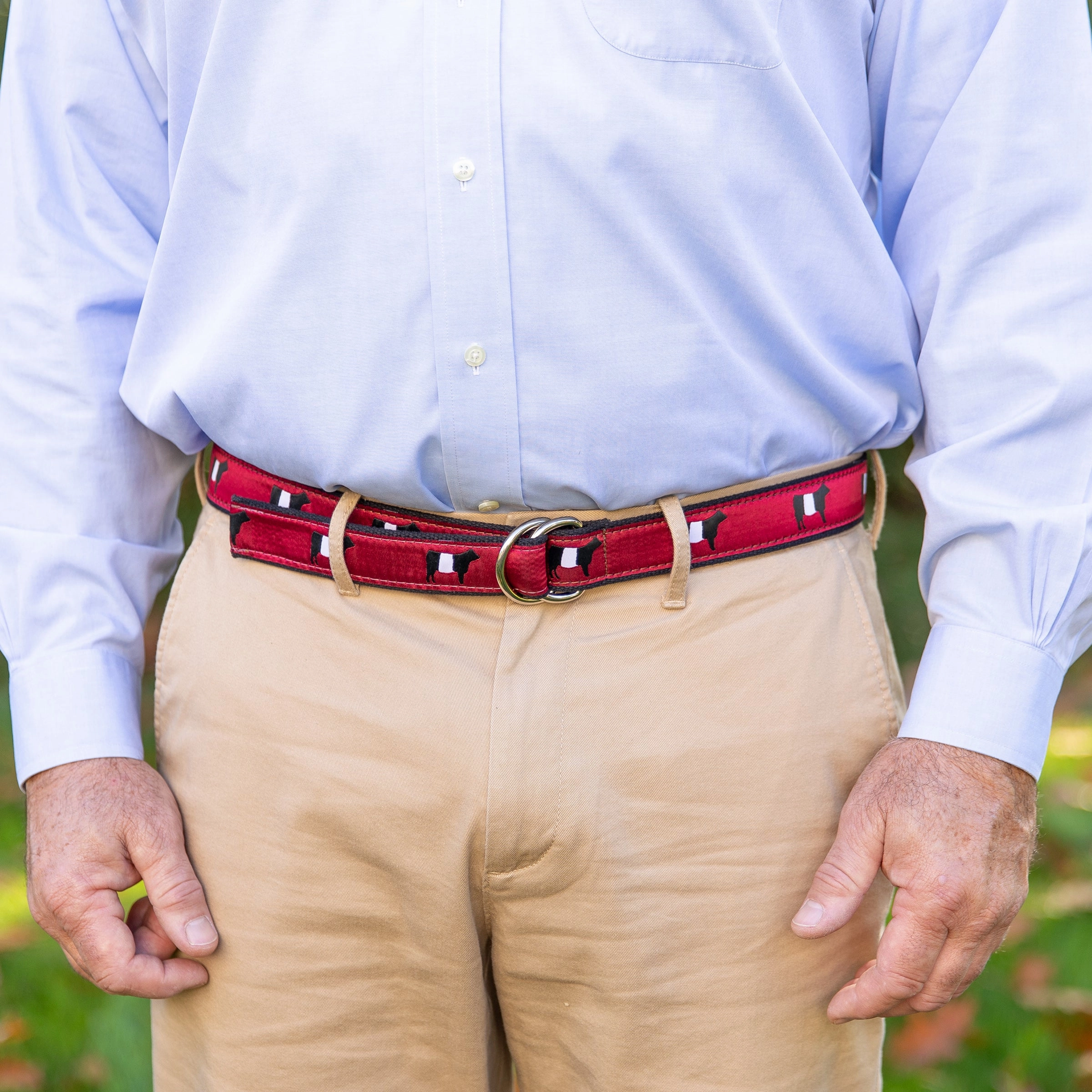 Belted Galloway Ribbon D-Ring Belt
