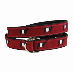 Belted Galloway Ribbon D-Ring Belt