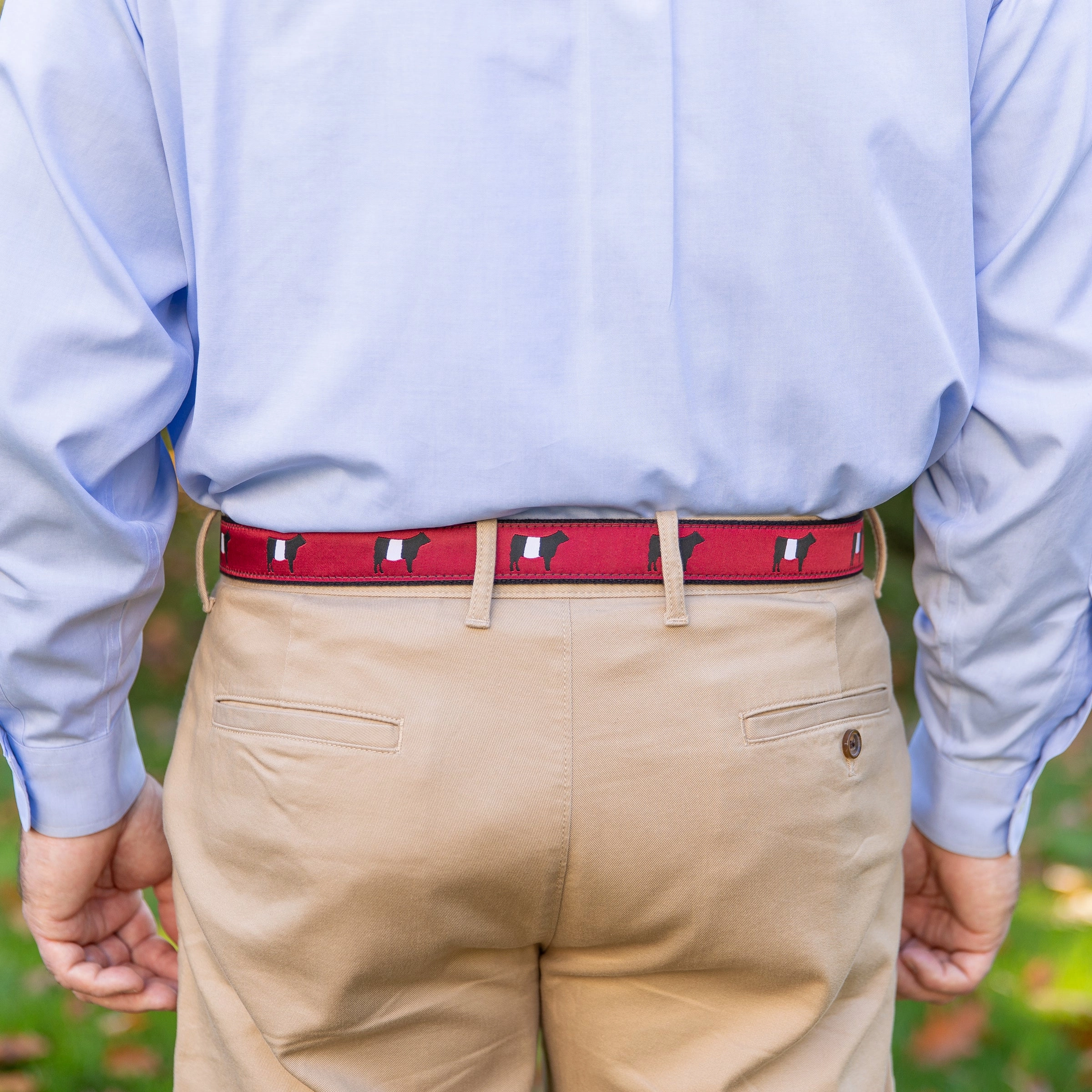 Belted Galloway Ribbon D-Ring Belt