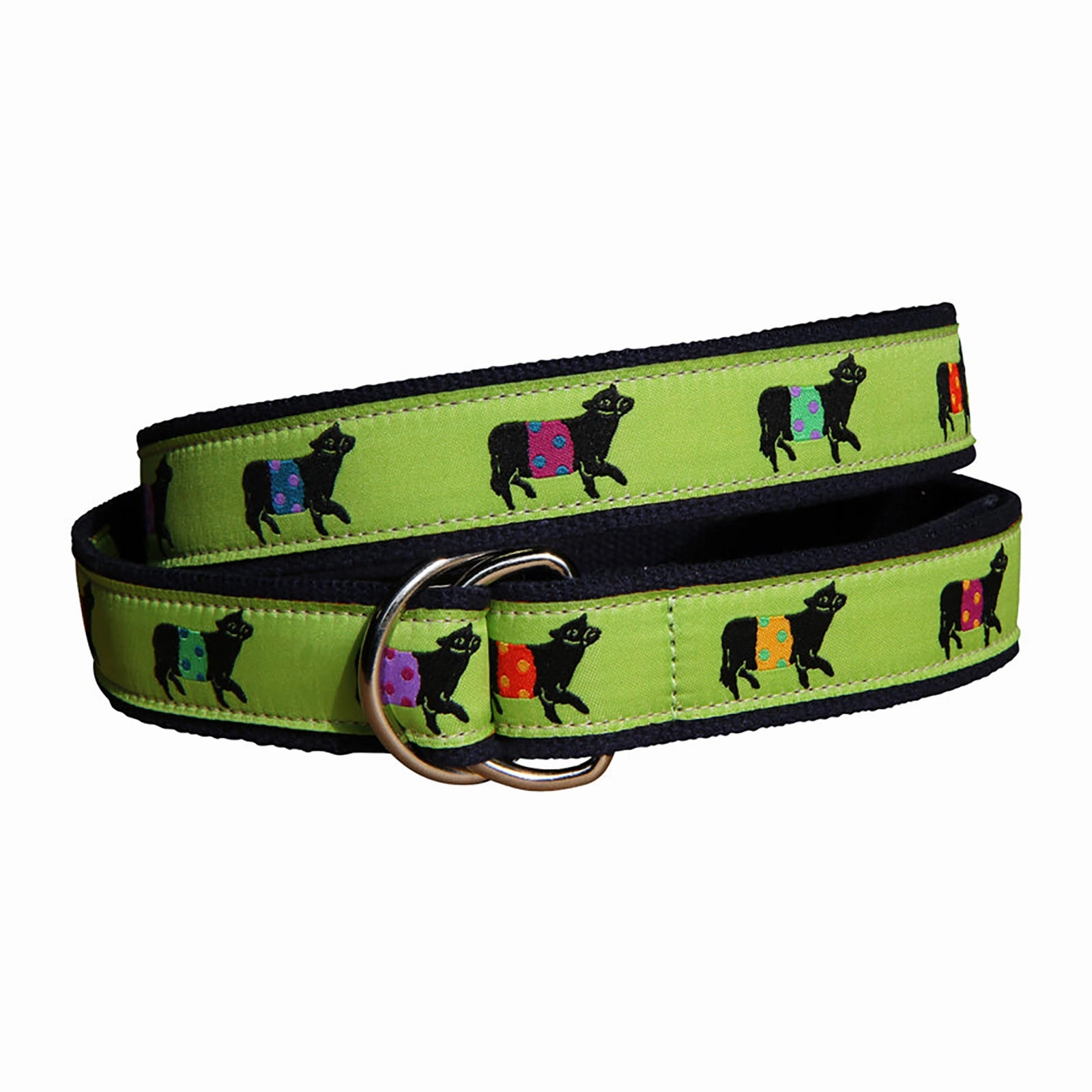 Beltie Ribbon D-Ring Belt