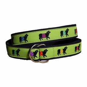 Beltie Ribbon D-Ring Belt