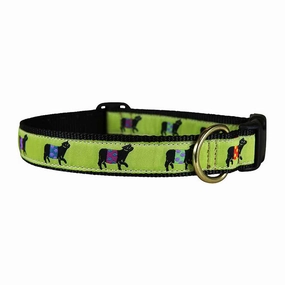 Beltie Ribbon Dog Collar