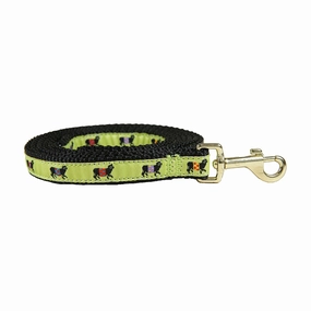 Beltie Ribbon Dog Leash