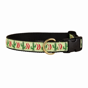 Chili Pepper Cactus Ribbon Dog Collar