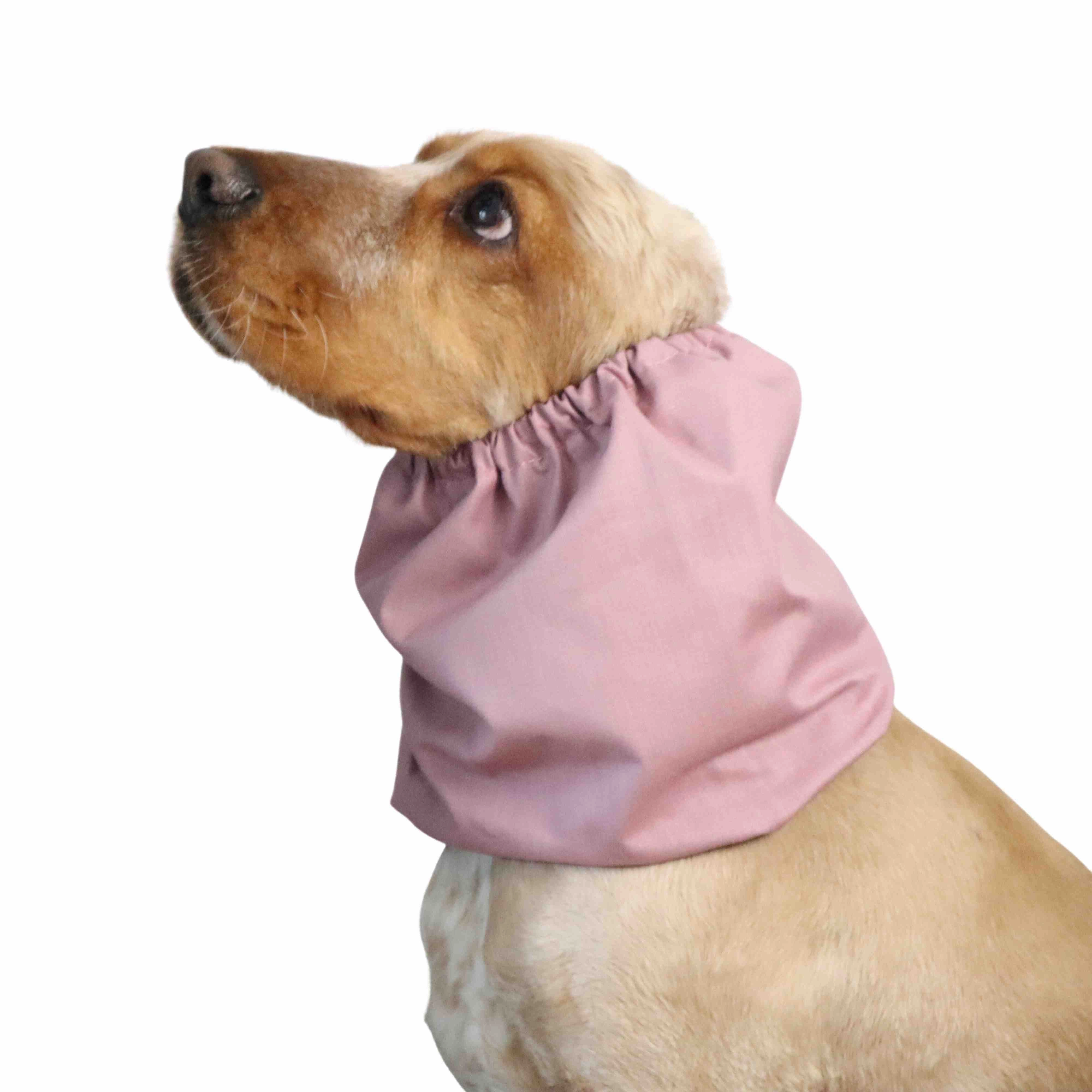 Cotton Dog Snood | Ash Pink
