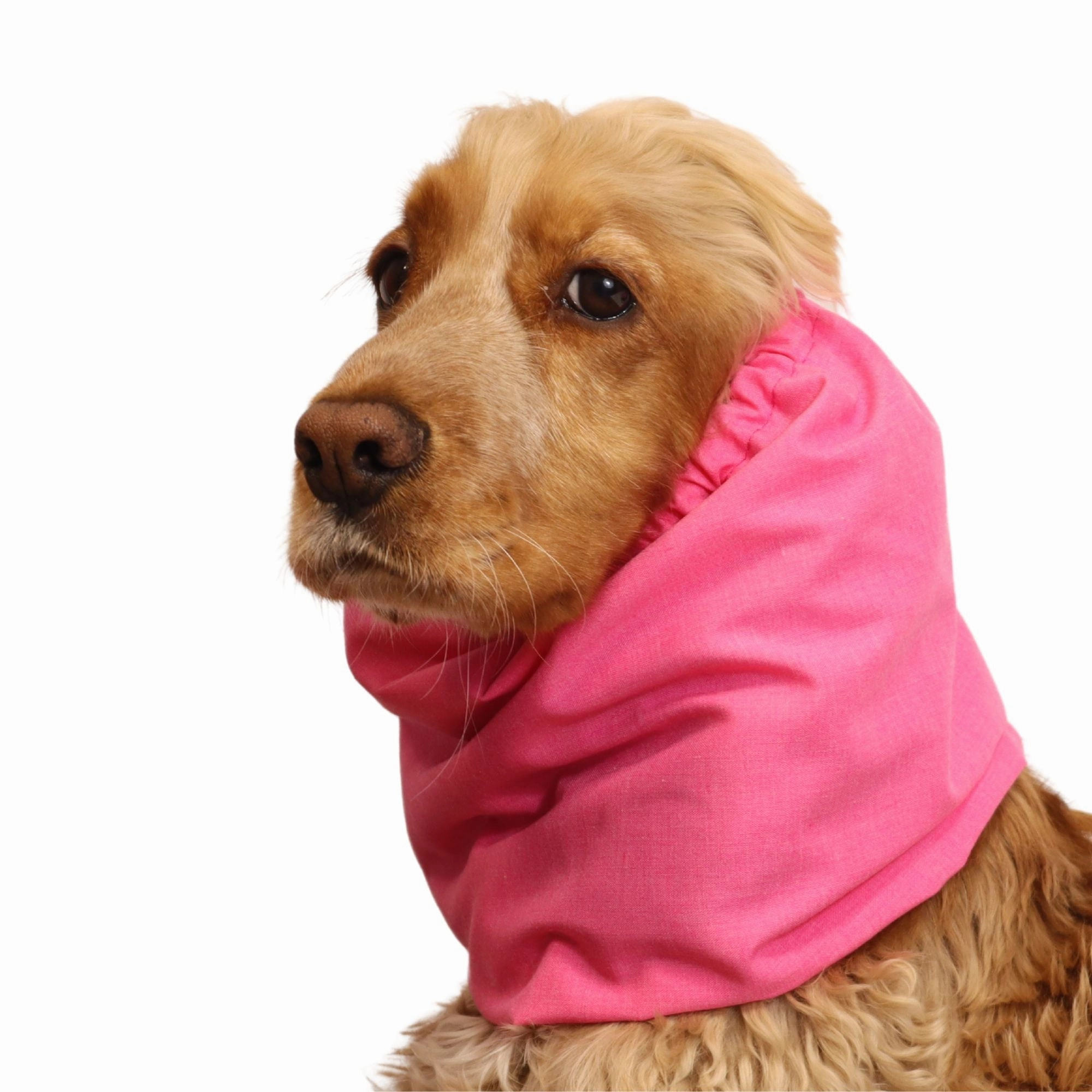 Cotton Dog Snood | Barbie Pink