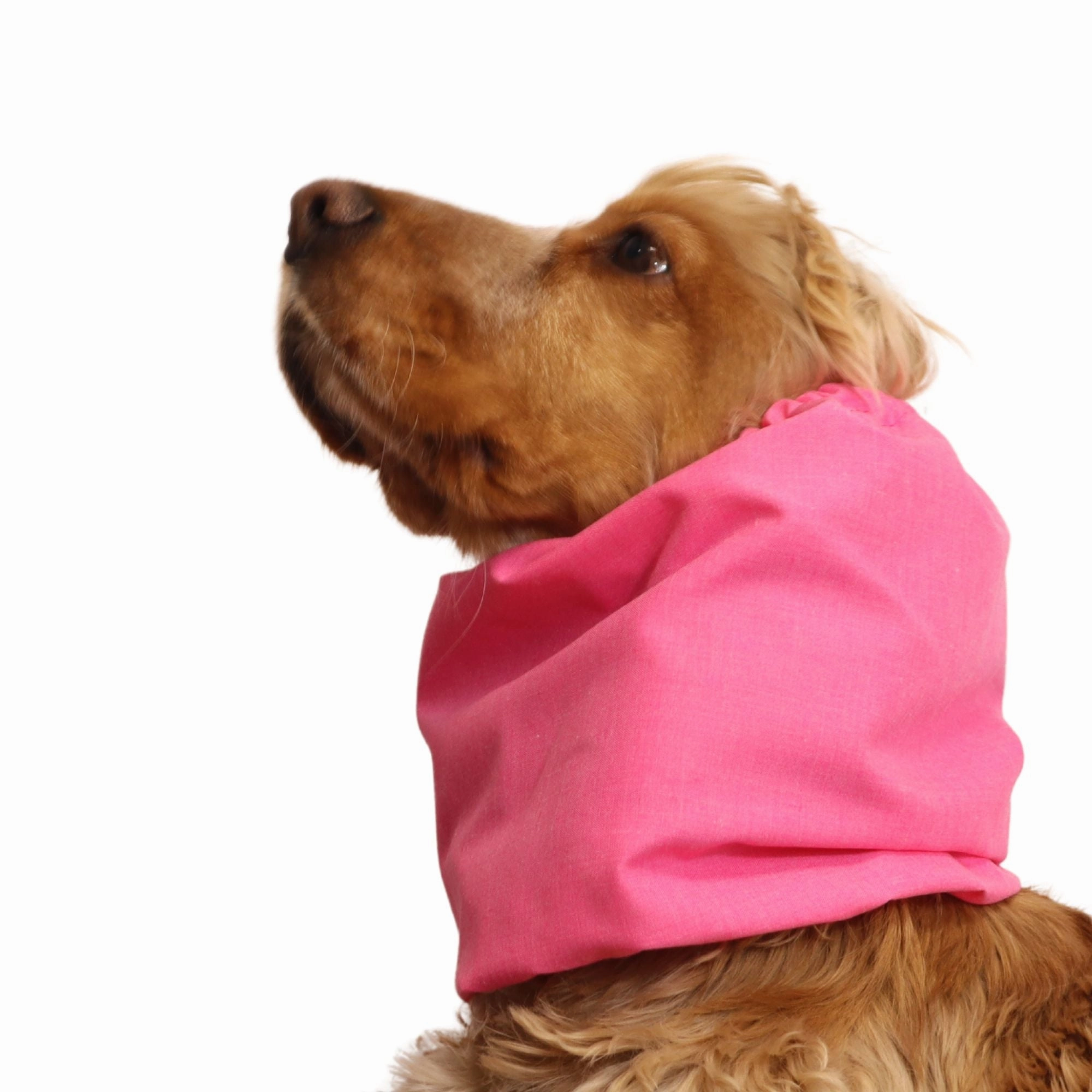 Cotton Dog Snood | Barbie Pink