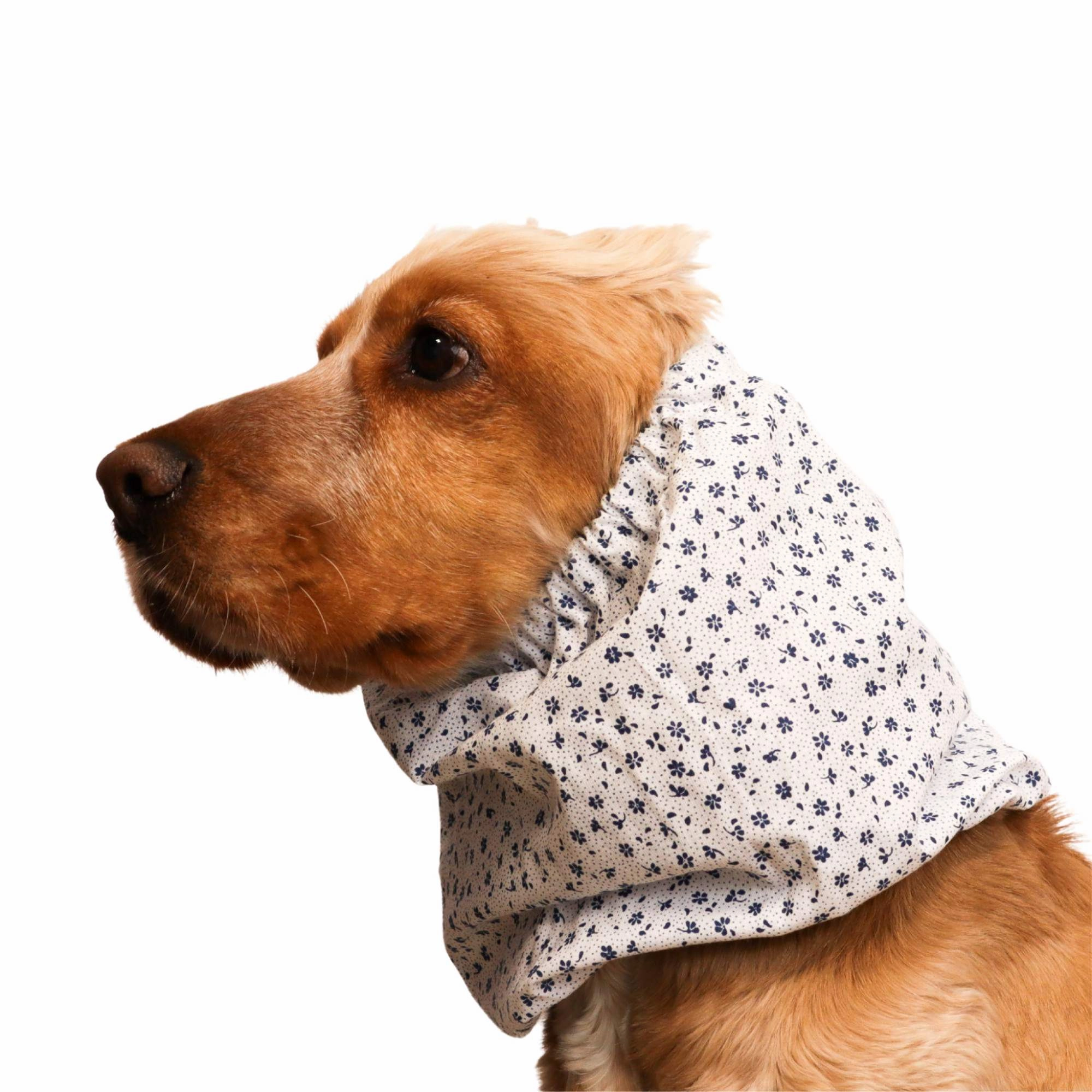Cotton Dog Snood | Blue Porcelain