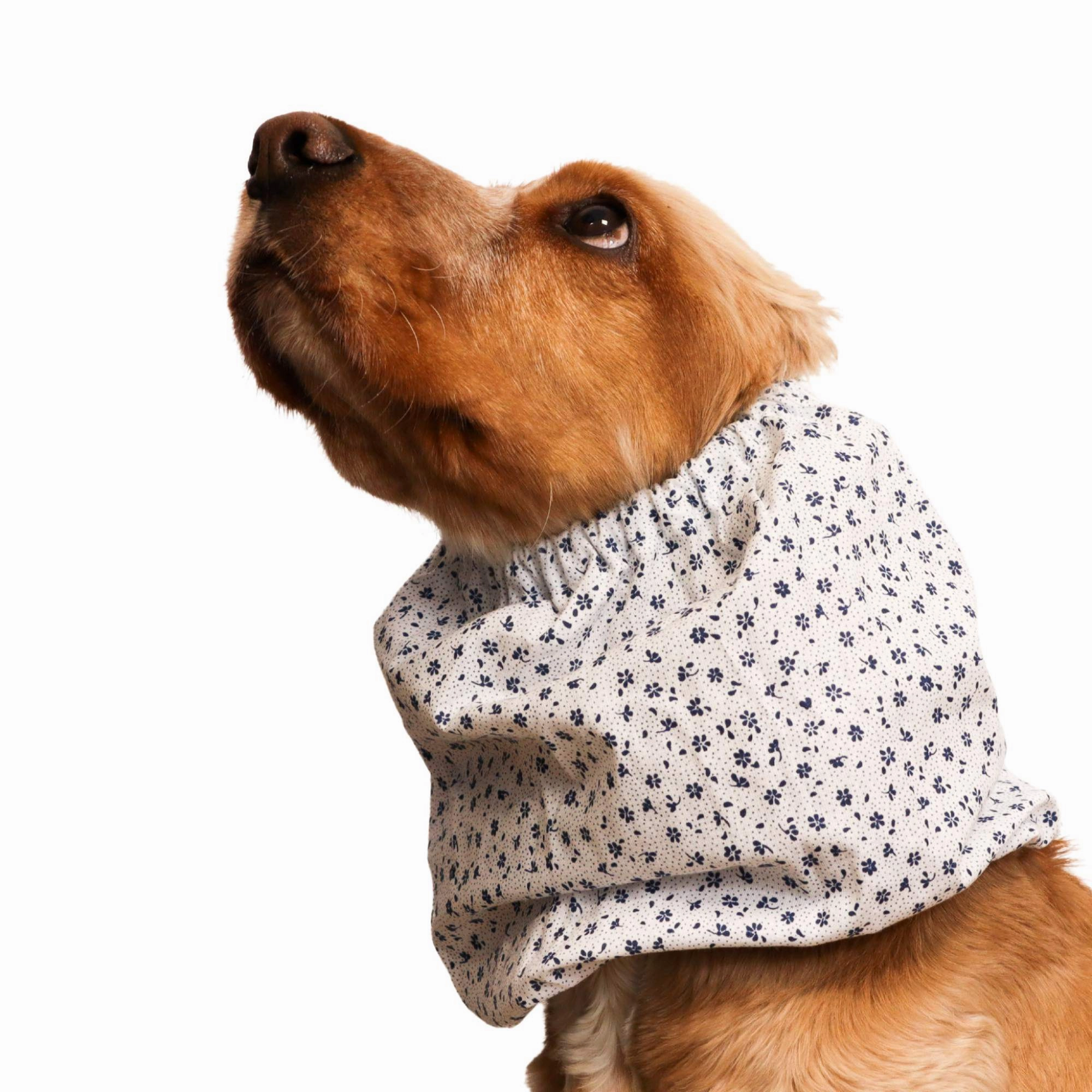 Cotton Dog Snood | Blue Porcelain