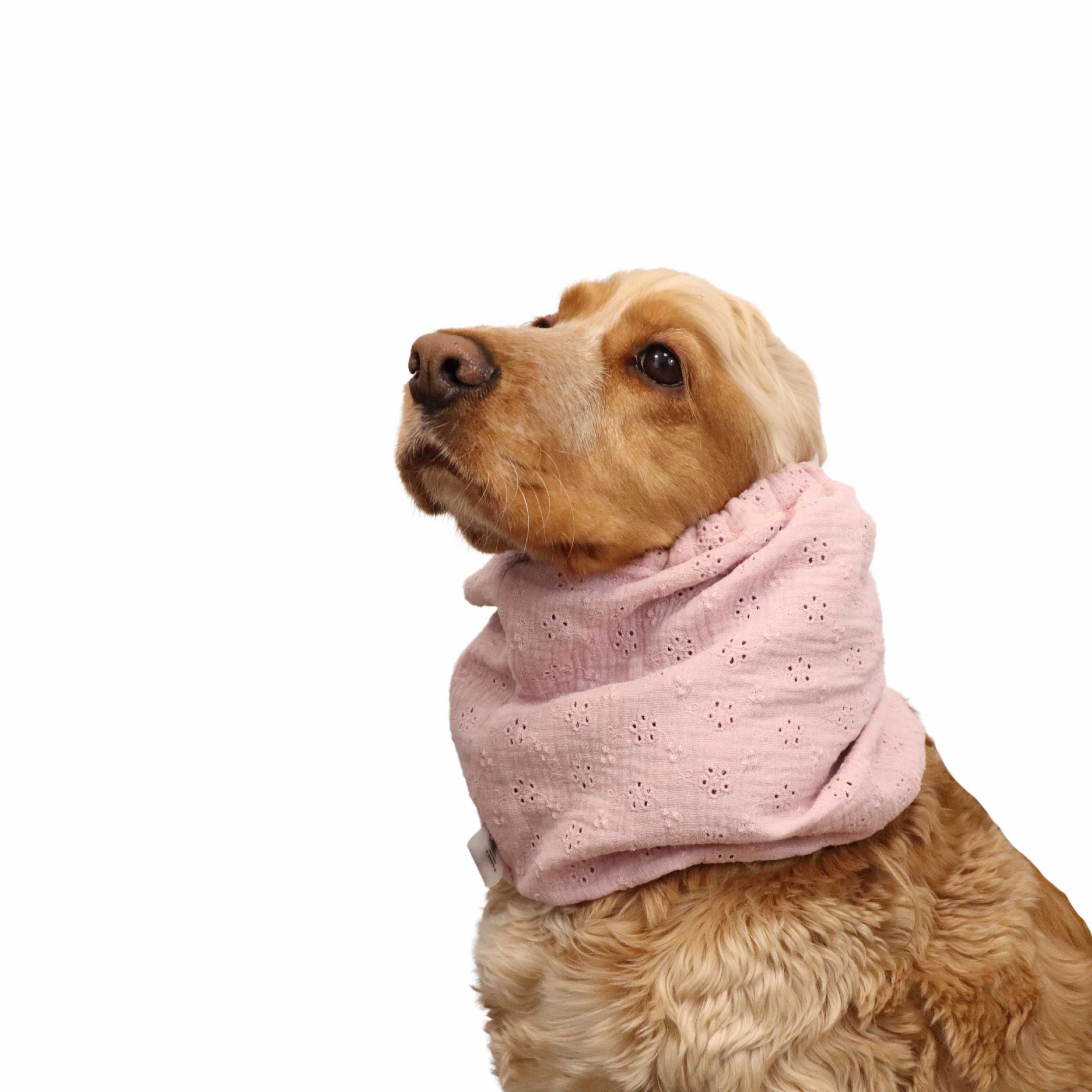 Cotton  Dog Snood | Breathable | Cream Pink