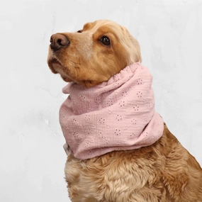 Cotton  Dog Snood | Breathable | Cream Pink