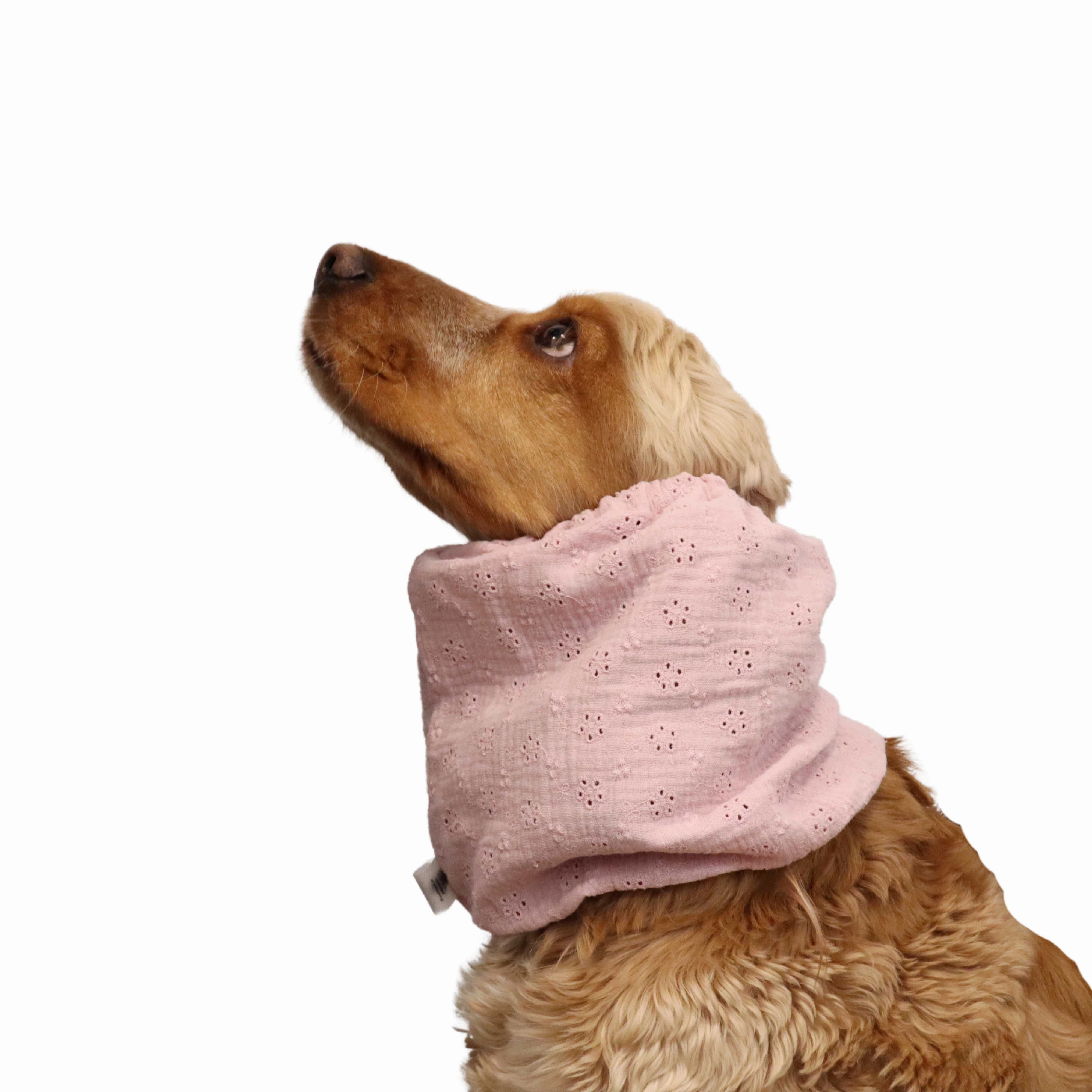 Cotton  Dog Snood | Breathable | Cream Pink