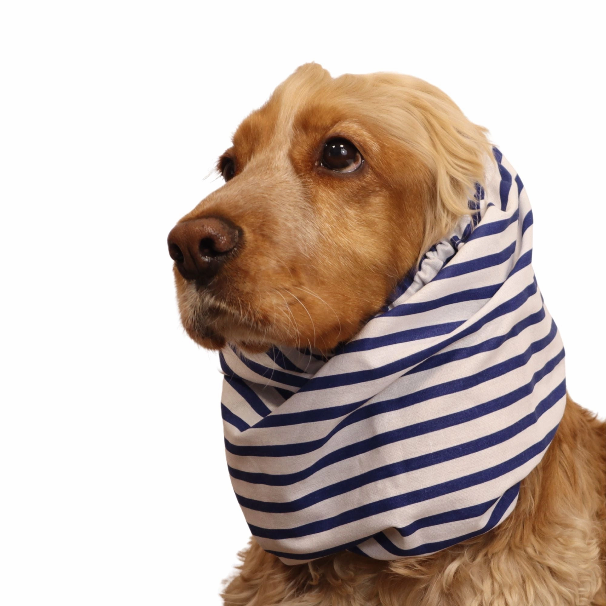 Cotton Dog Snood | Captain's Style