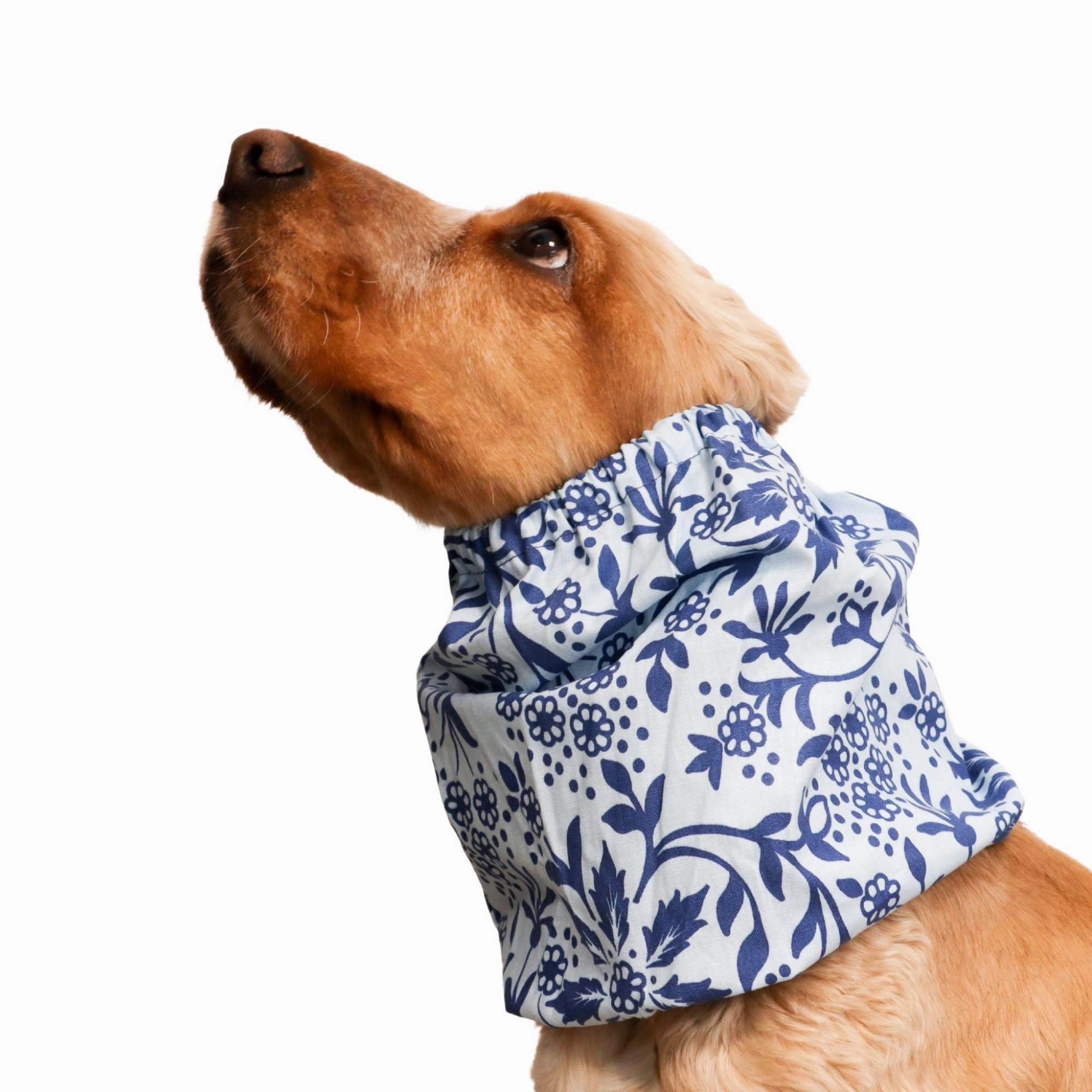 Cotton Dog Snood | Cerulean Bloom