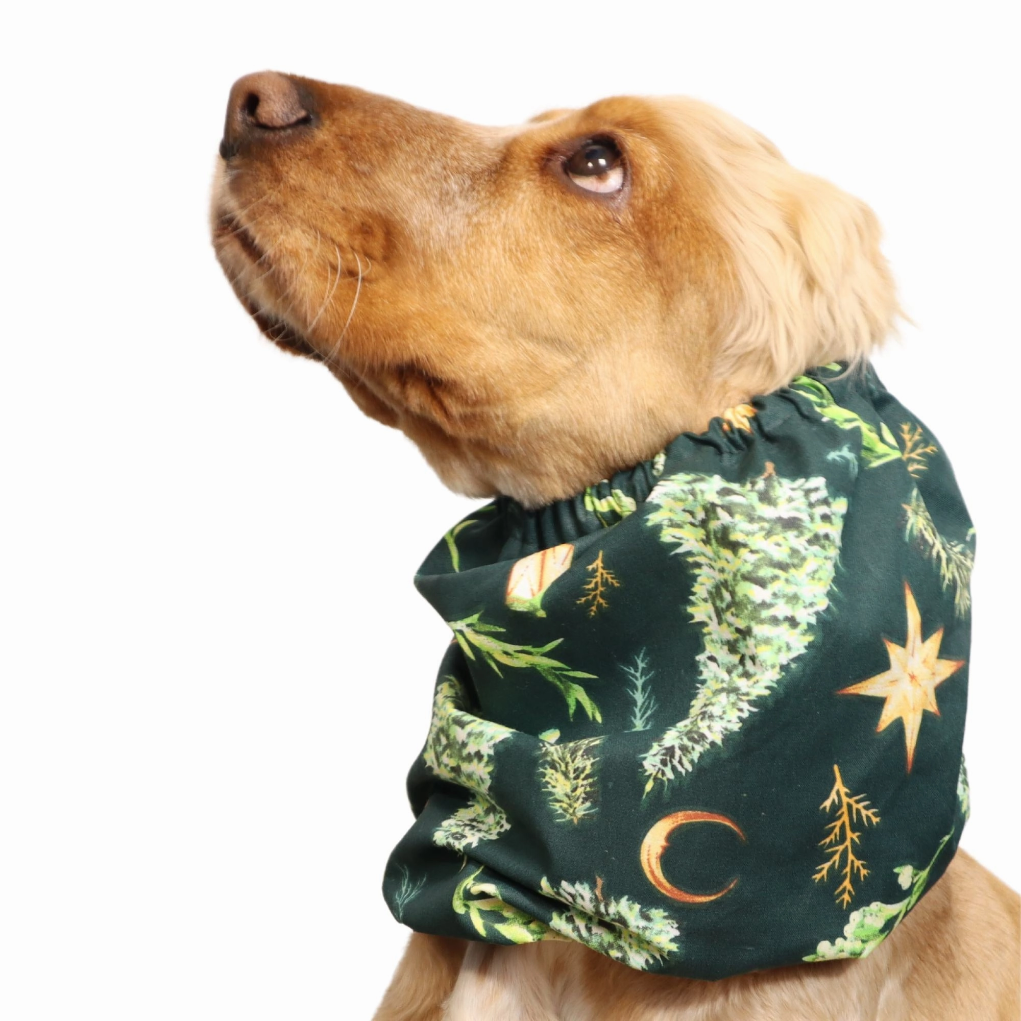 Cotton Dog Snood | Christmas Night
