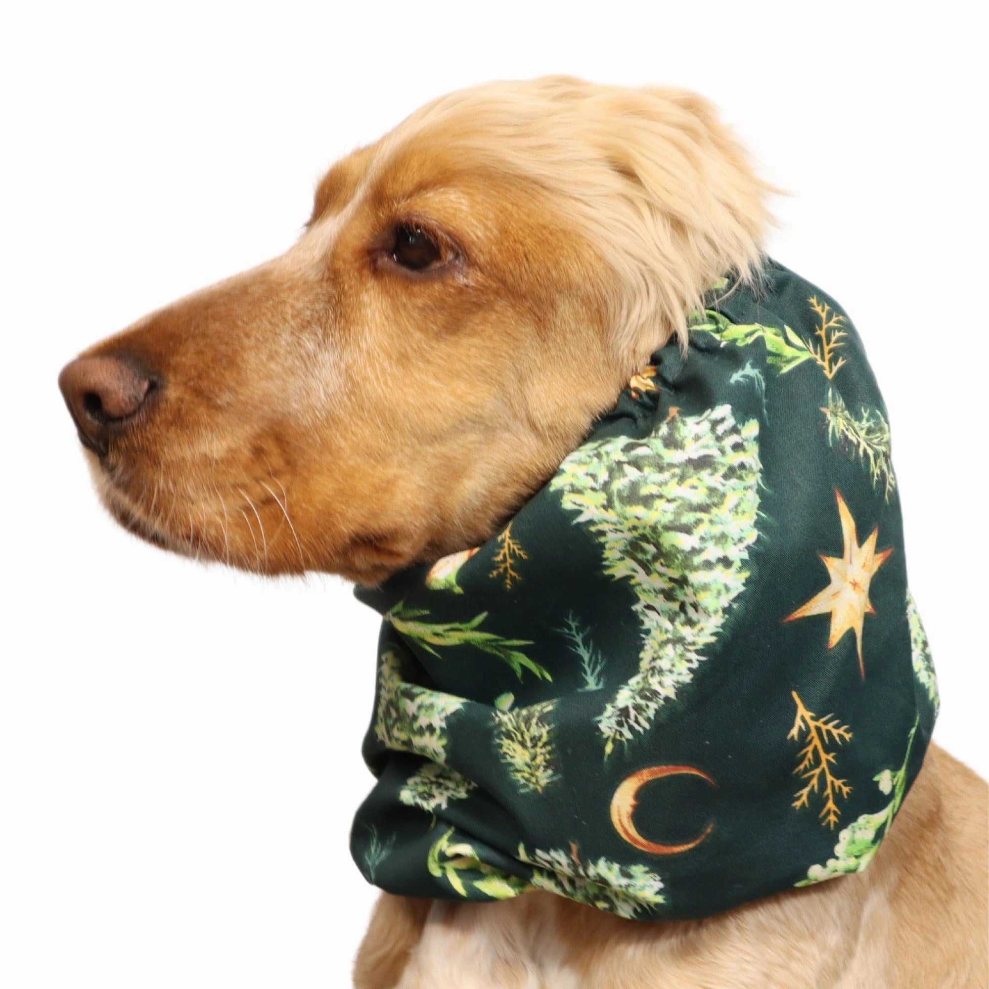 Cotton Dog Snood | Christmas Night