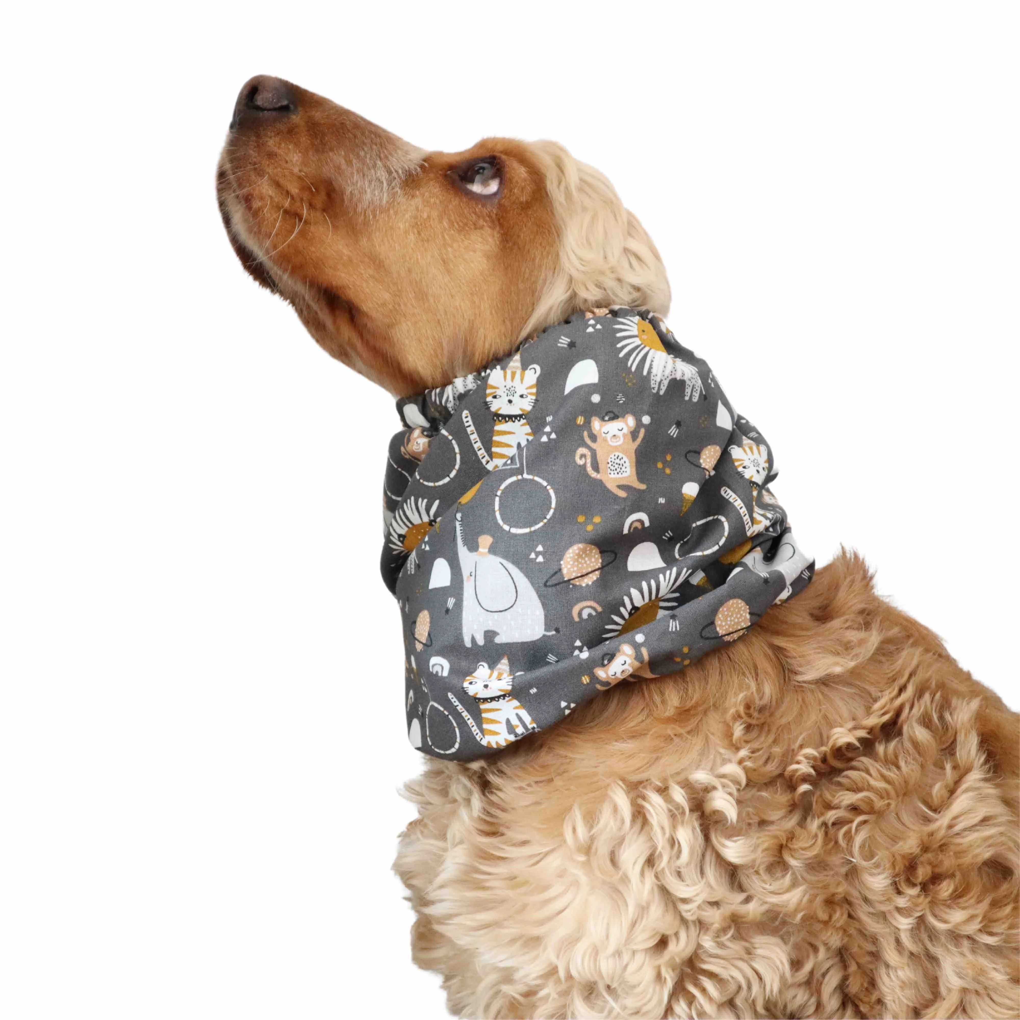 Cotton Dog Snood | Circus