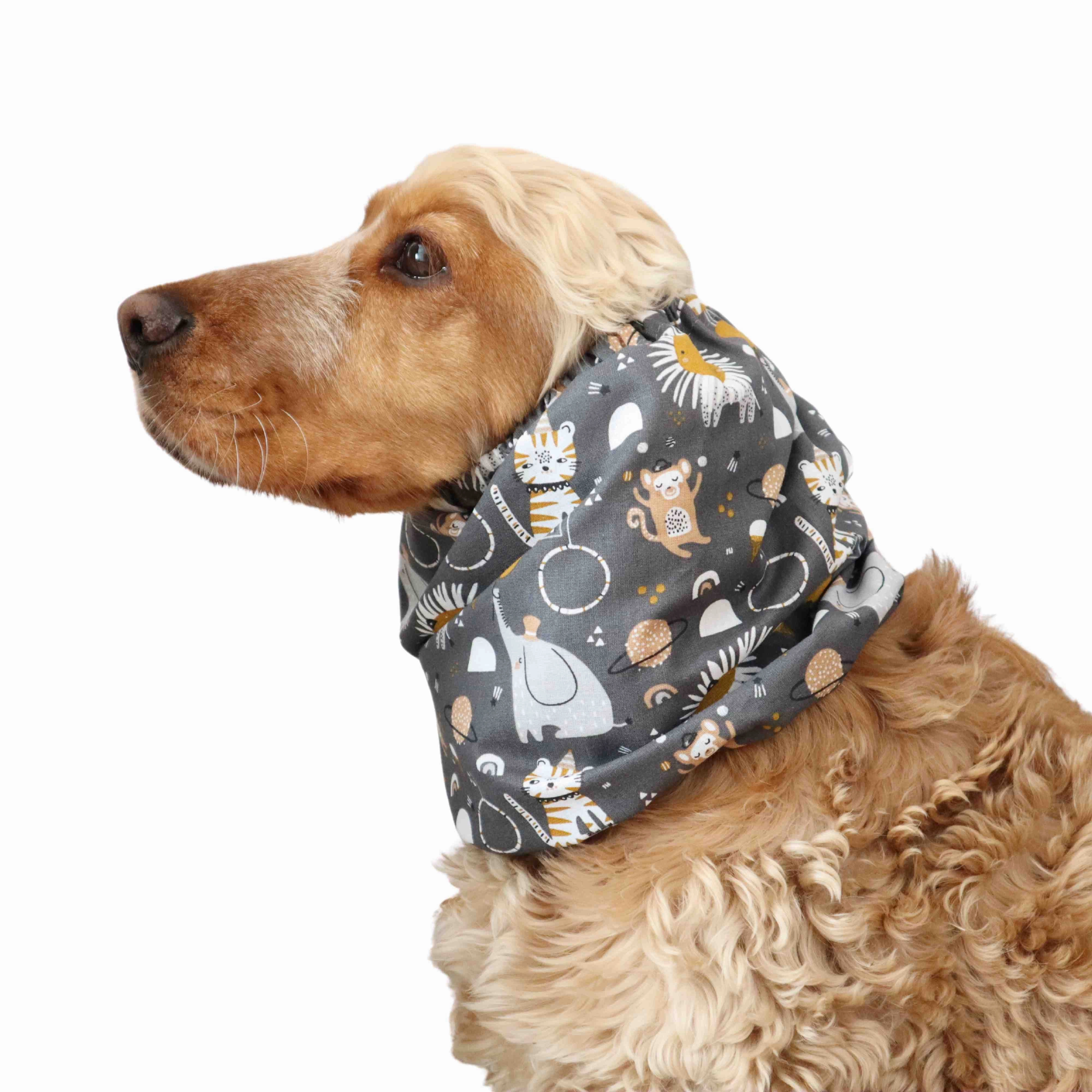 Cotton Dog Snood | Circus