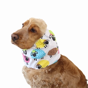 Cotton Dog Snood | Colorful Sheep