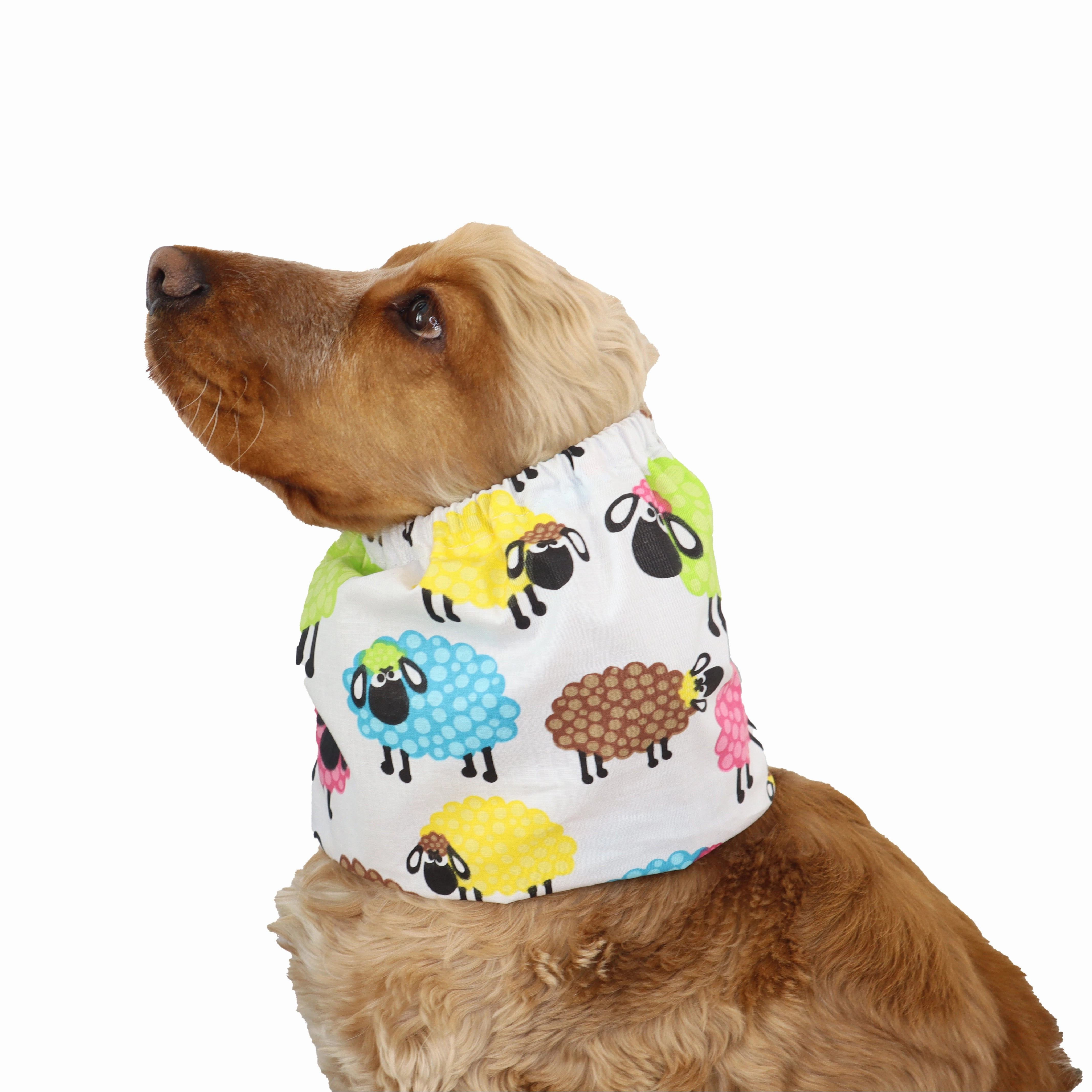 Cotton Dog Snood | Colorful Sheep