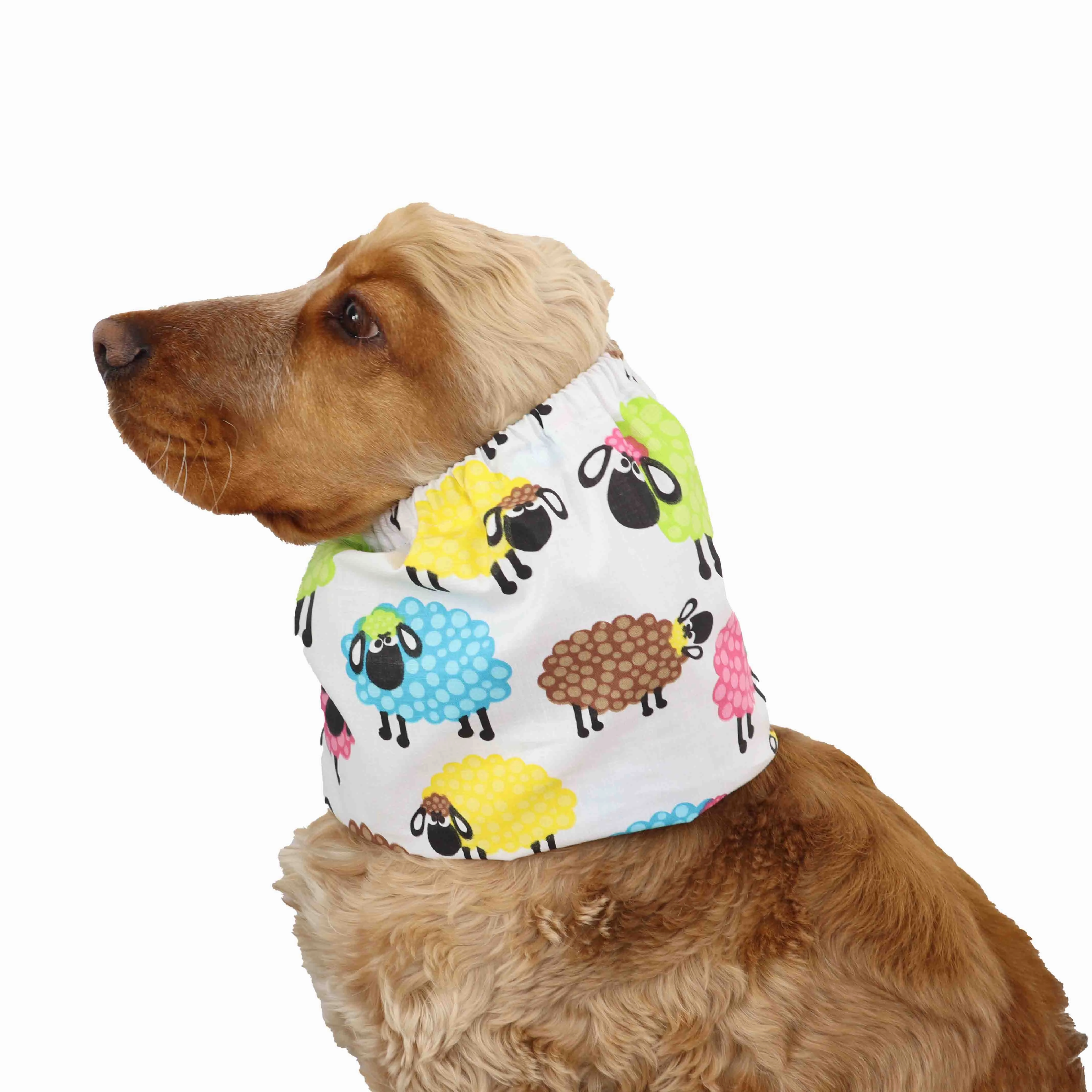 Cotton Dog Snood | Colorful Sheep