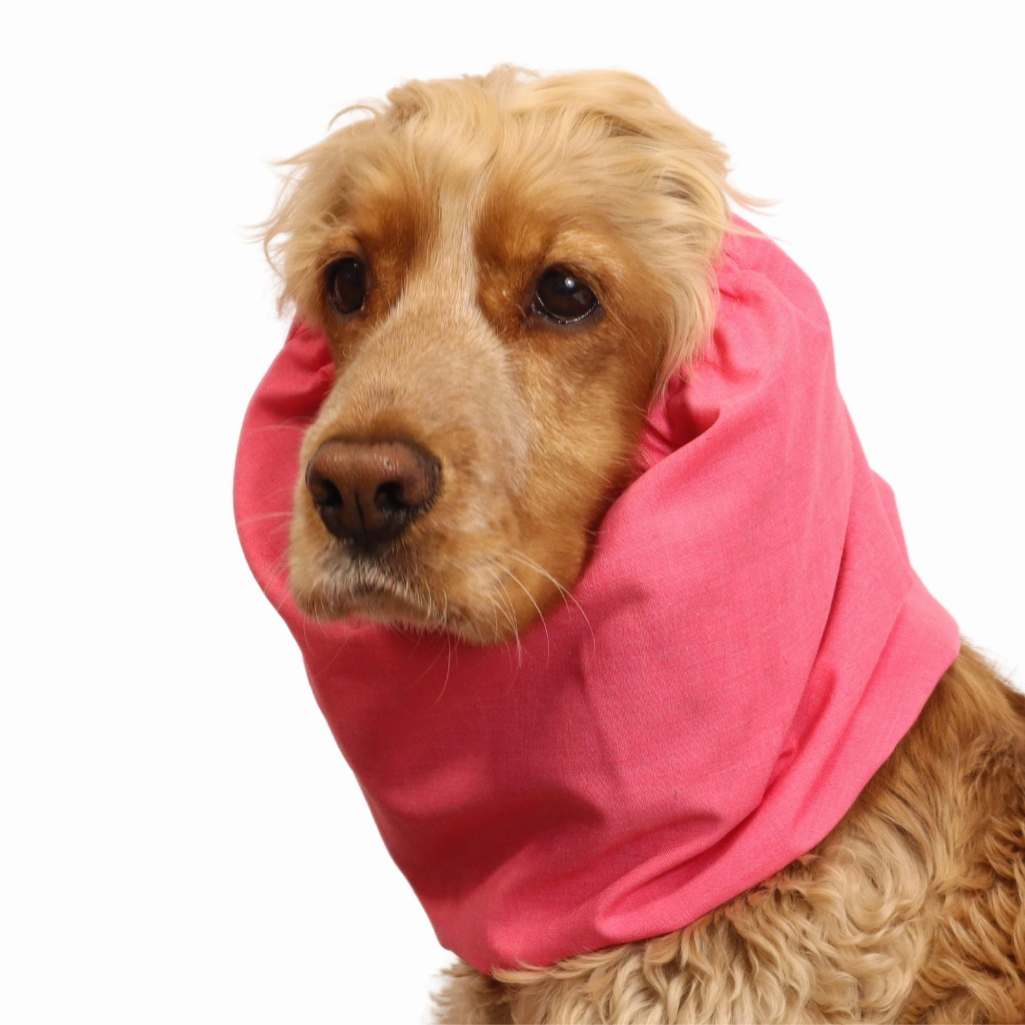 Cotton Dog Snood | Coral Pink
