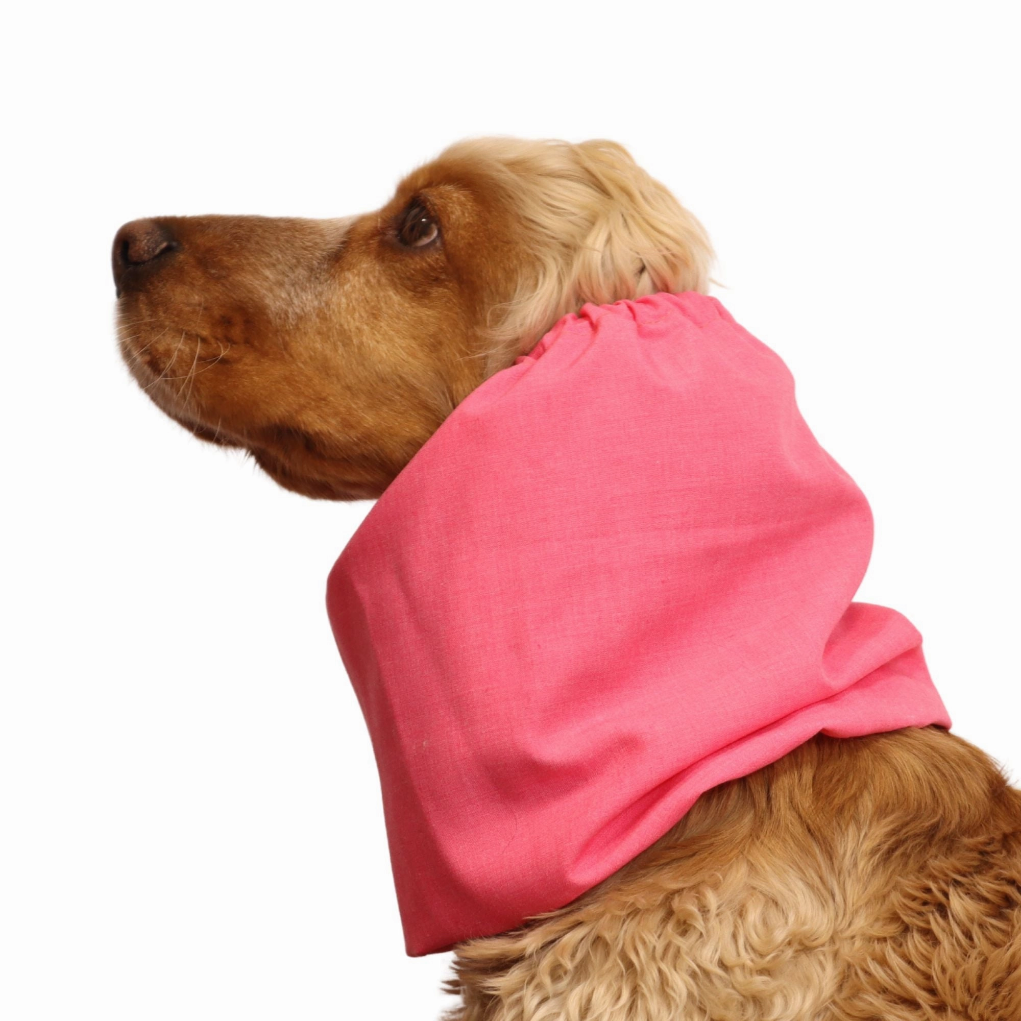 Cotton Dog Snood | Coral Pink