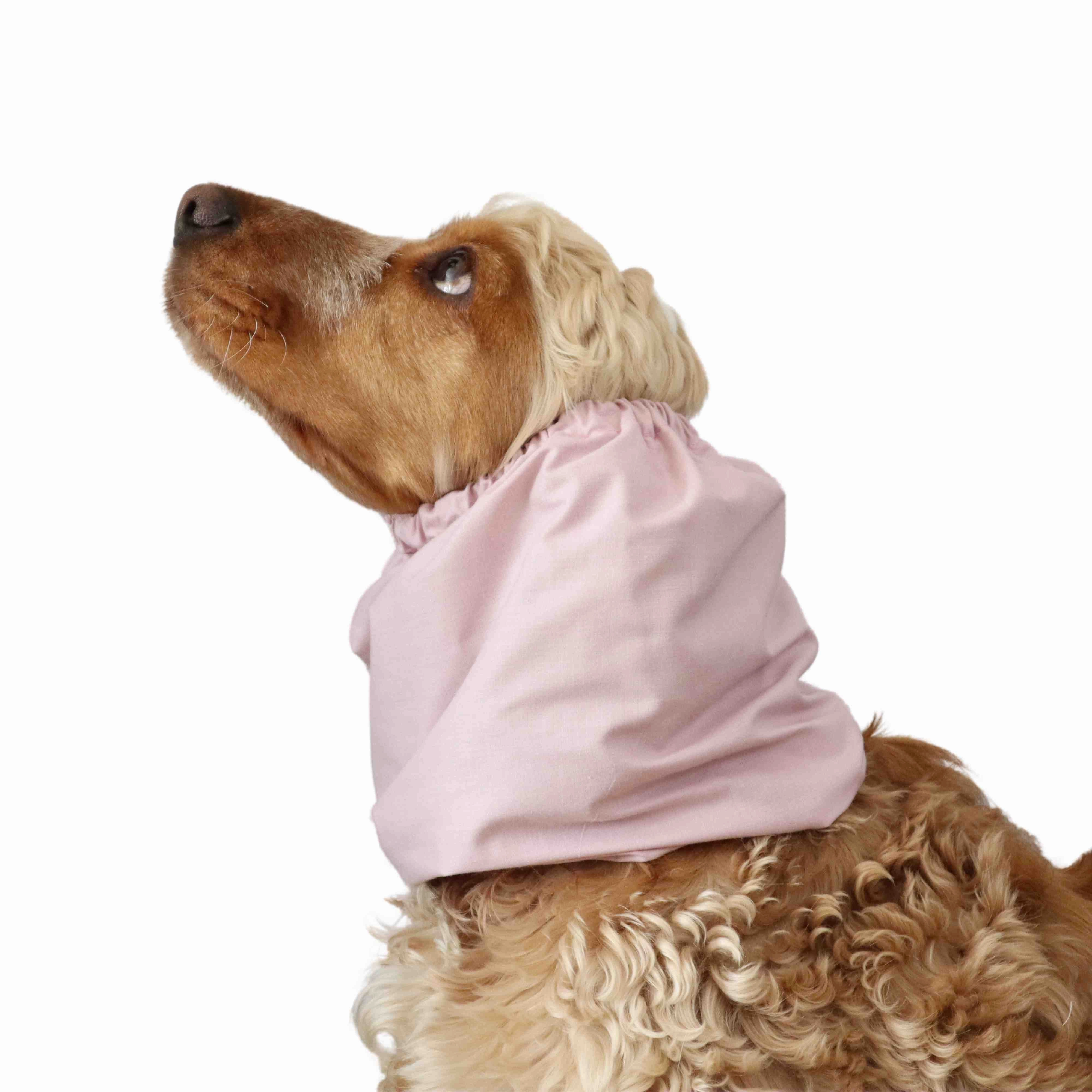 Cotton Dog Snood | Cream Pink