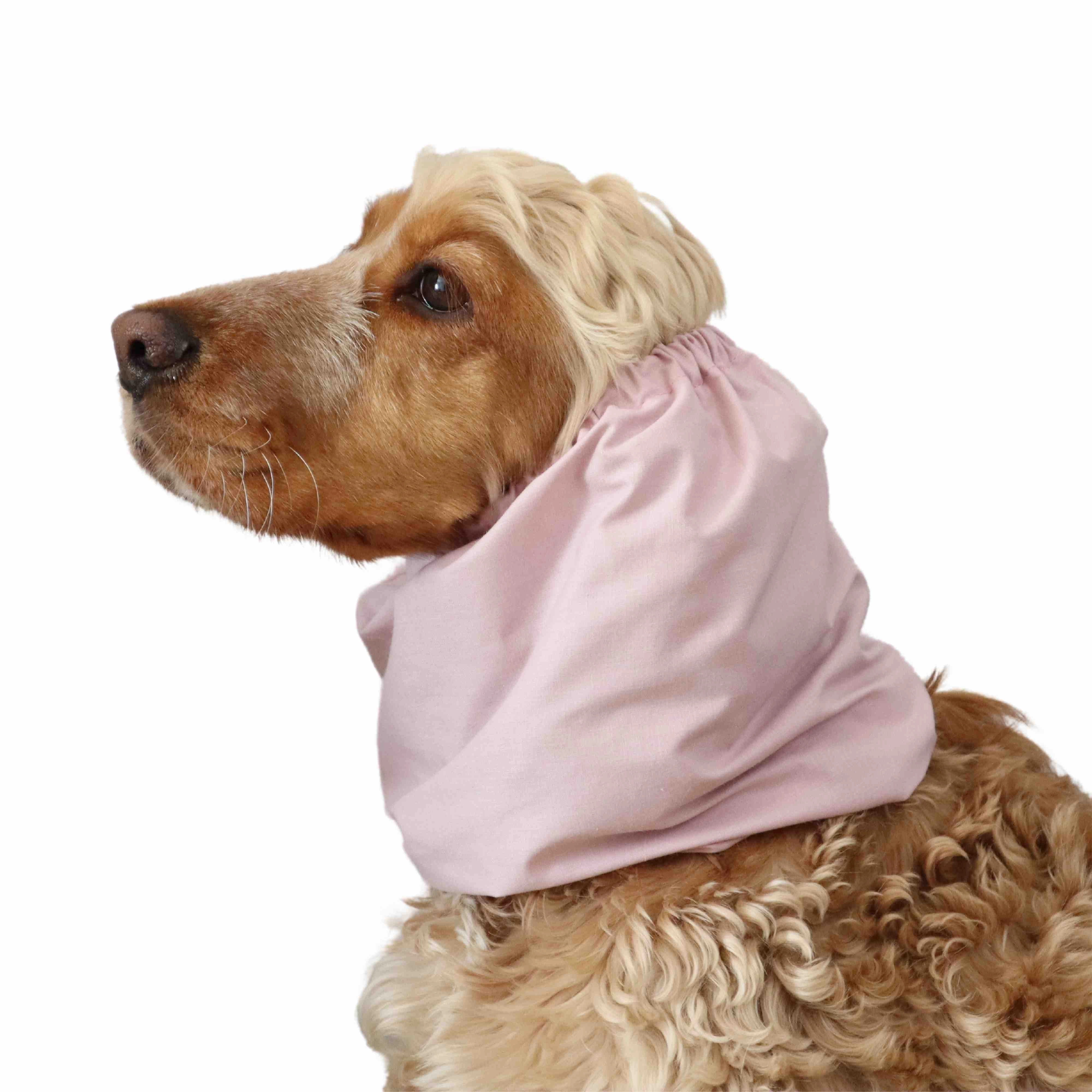 Cotton Dog Snood | Cream Pink