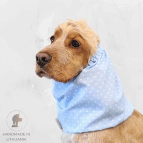 Cotton Dog Snood | Dots in Blue