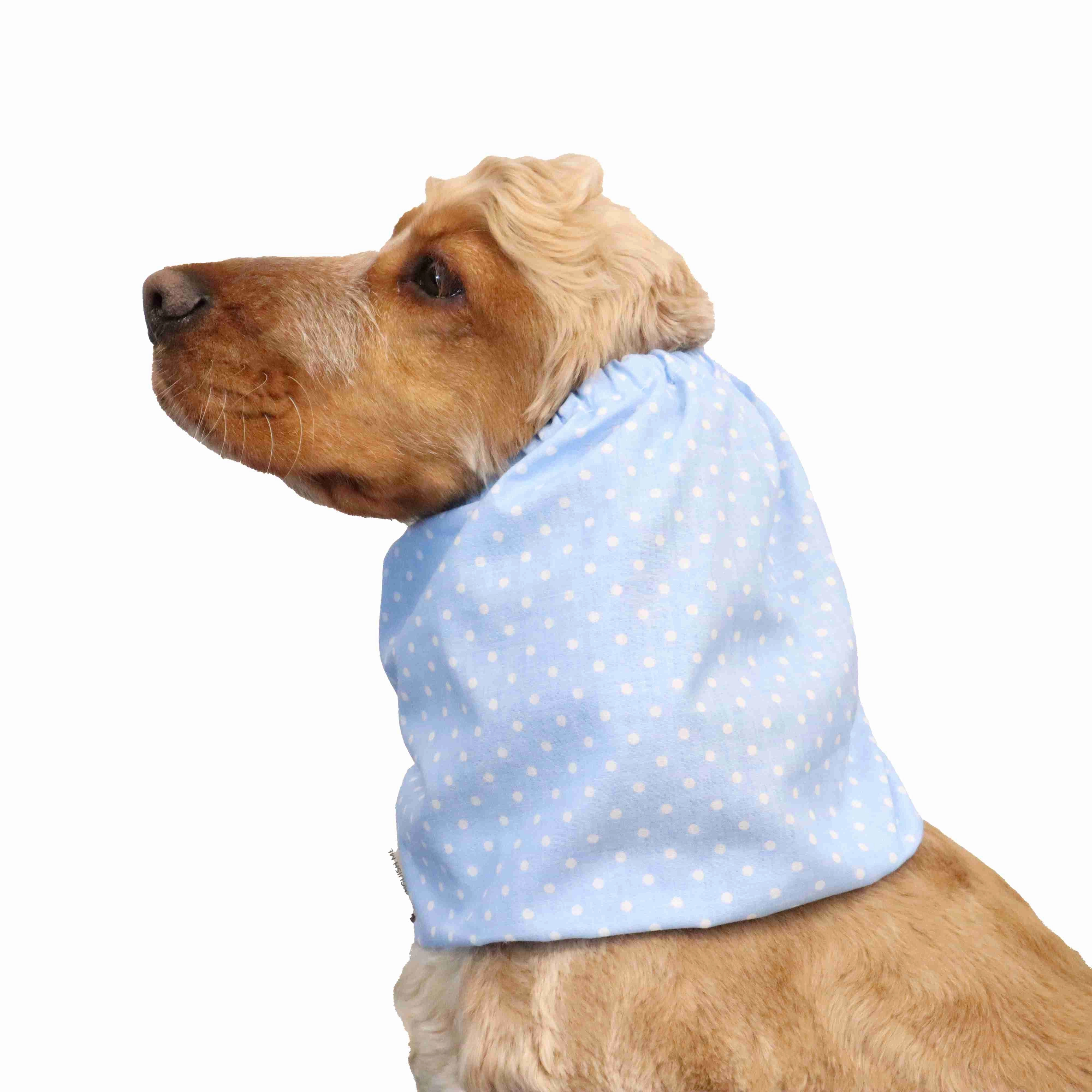 Cotton Dog Snood | Dots in Blue