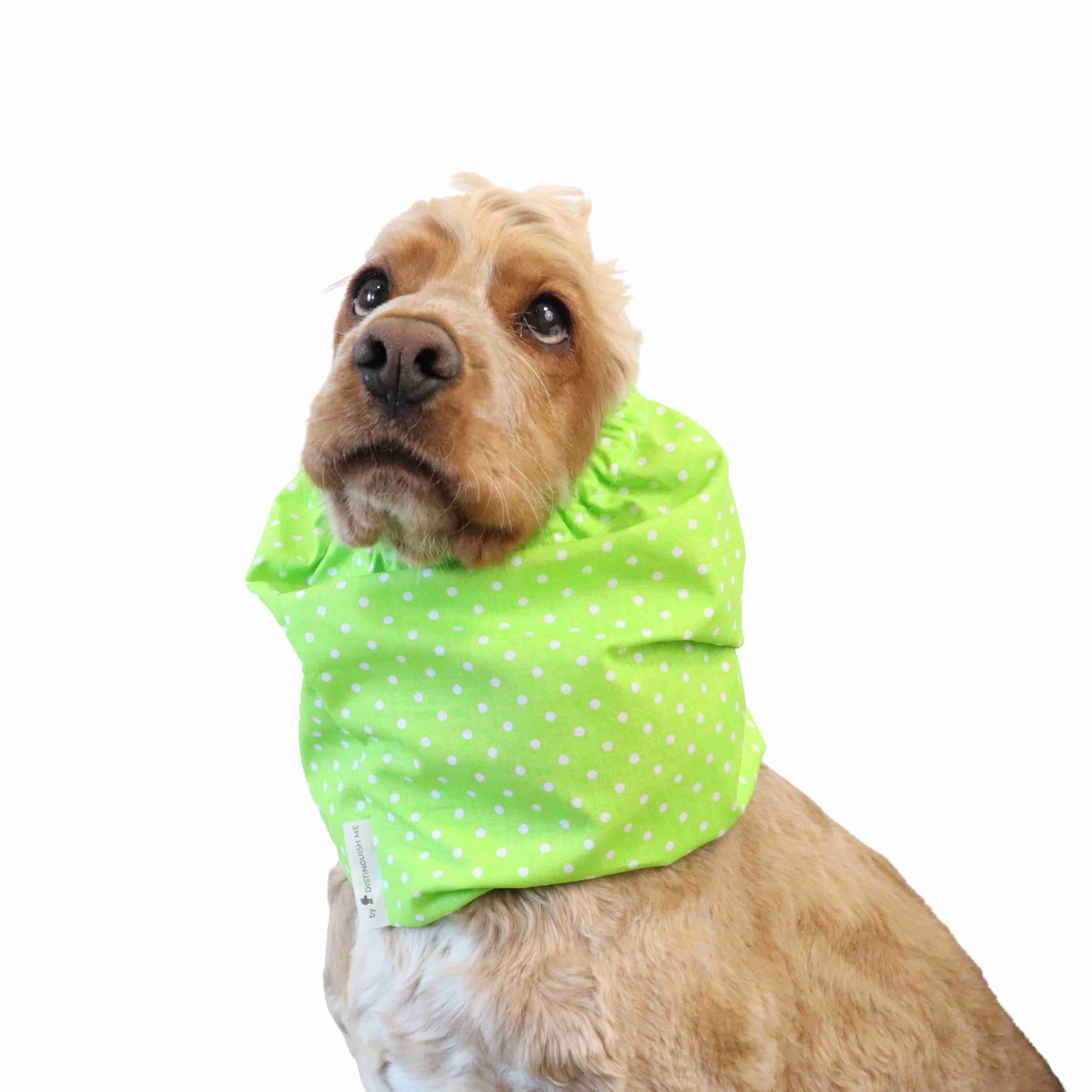 Cotton Dog Snood | Dots in Green