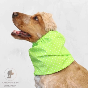 Cotton Dog Snood | Dots in Green