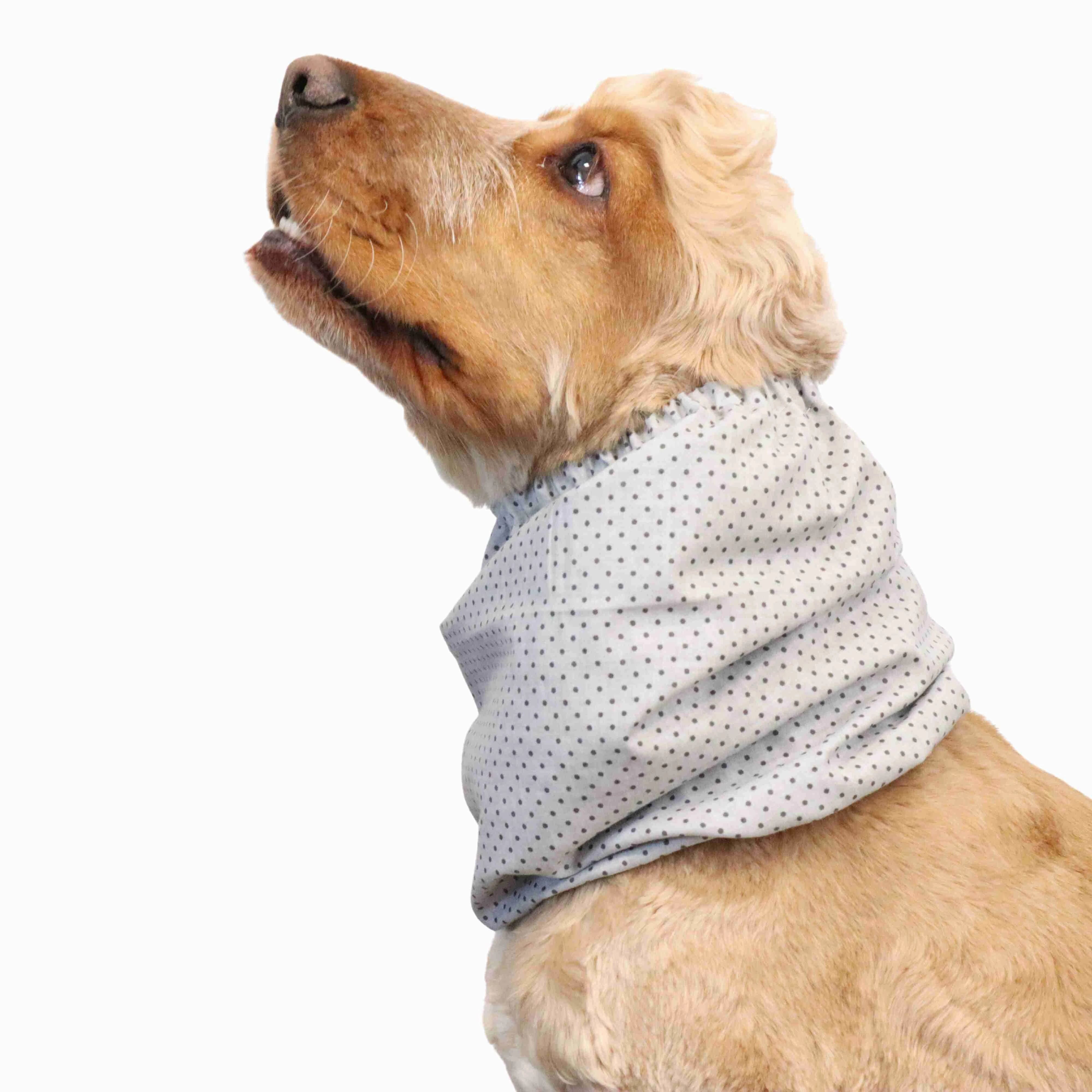 Cotton Dog Snood | Dots in Grey