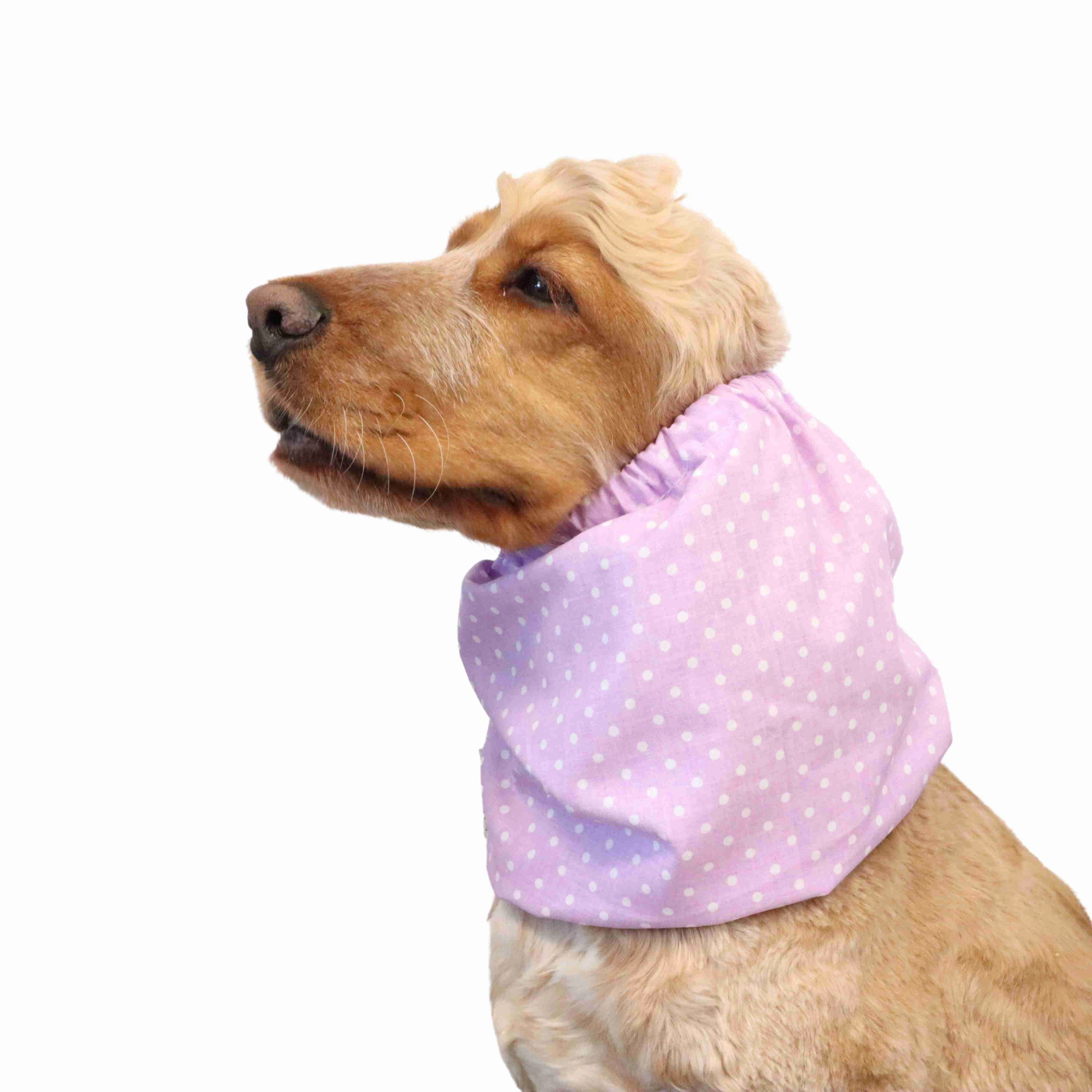 Cotton Dog Snood | Dots in Purple