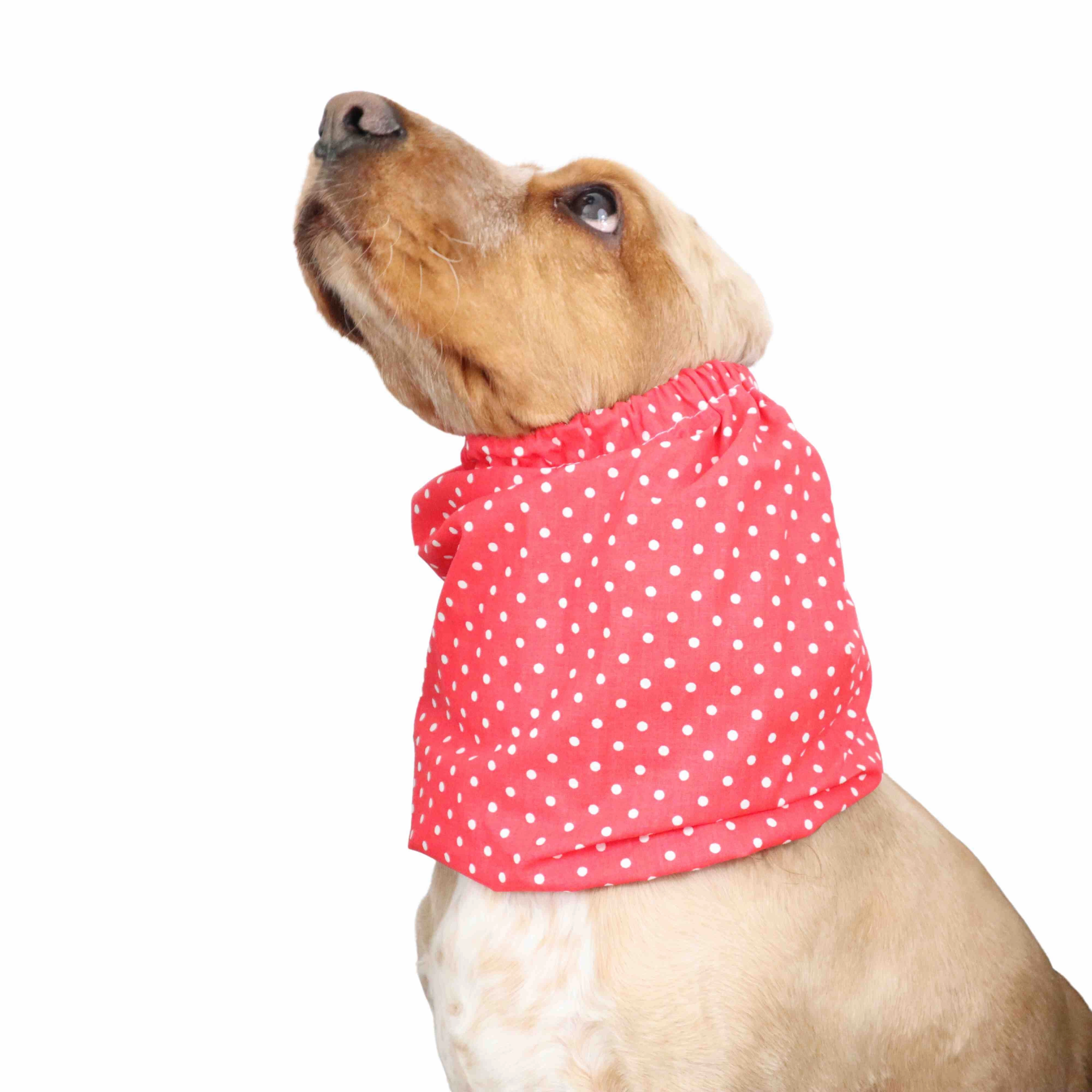 Cotton Dog Snood | Dots in Red