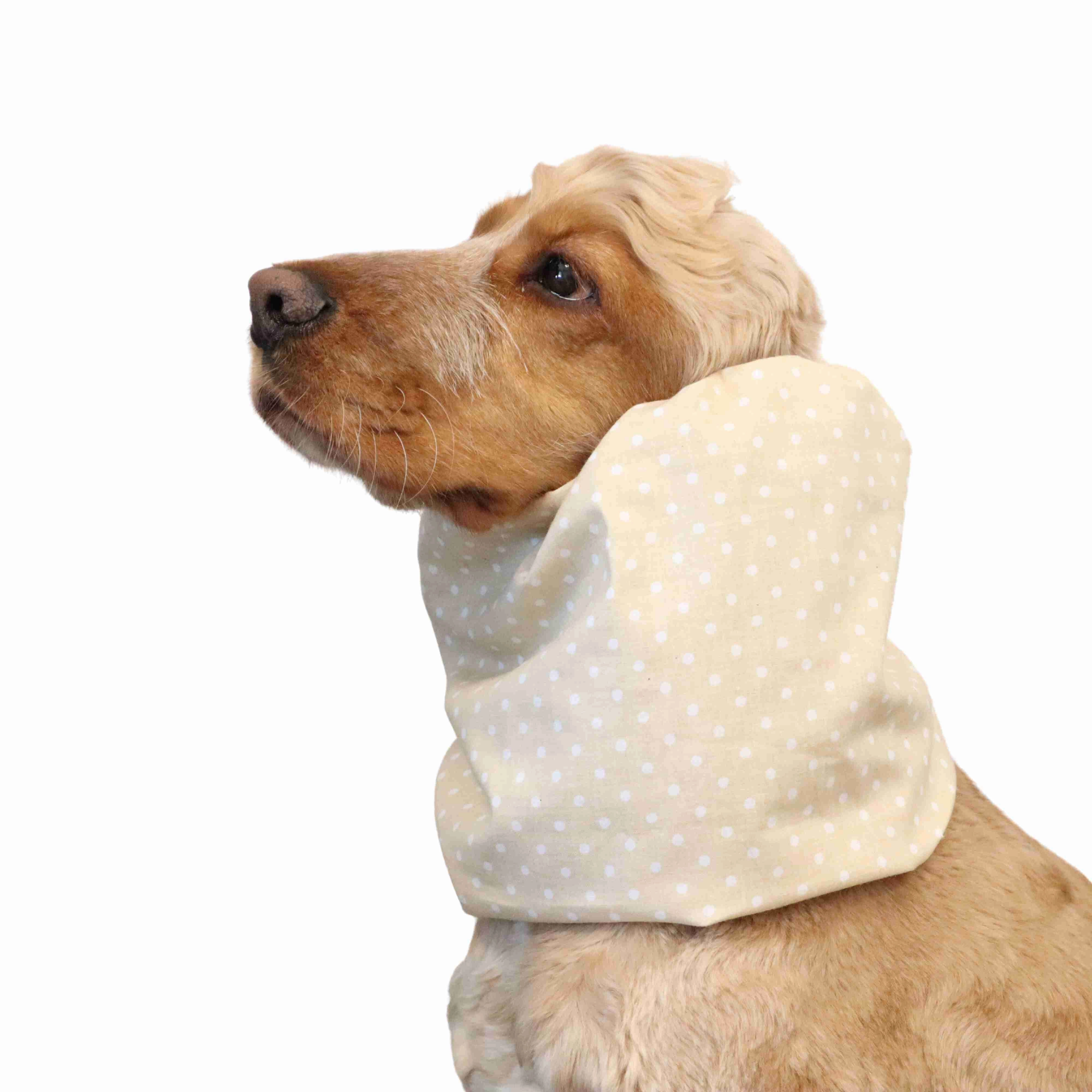 Cotton Dog Snood | Dots in Vanilla Cream