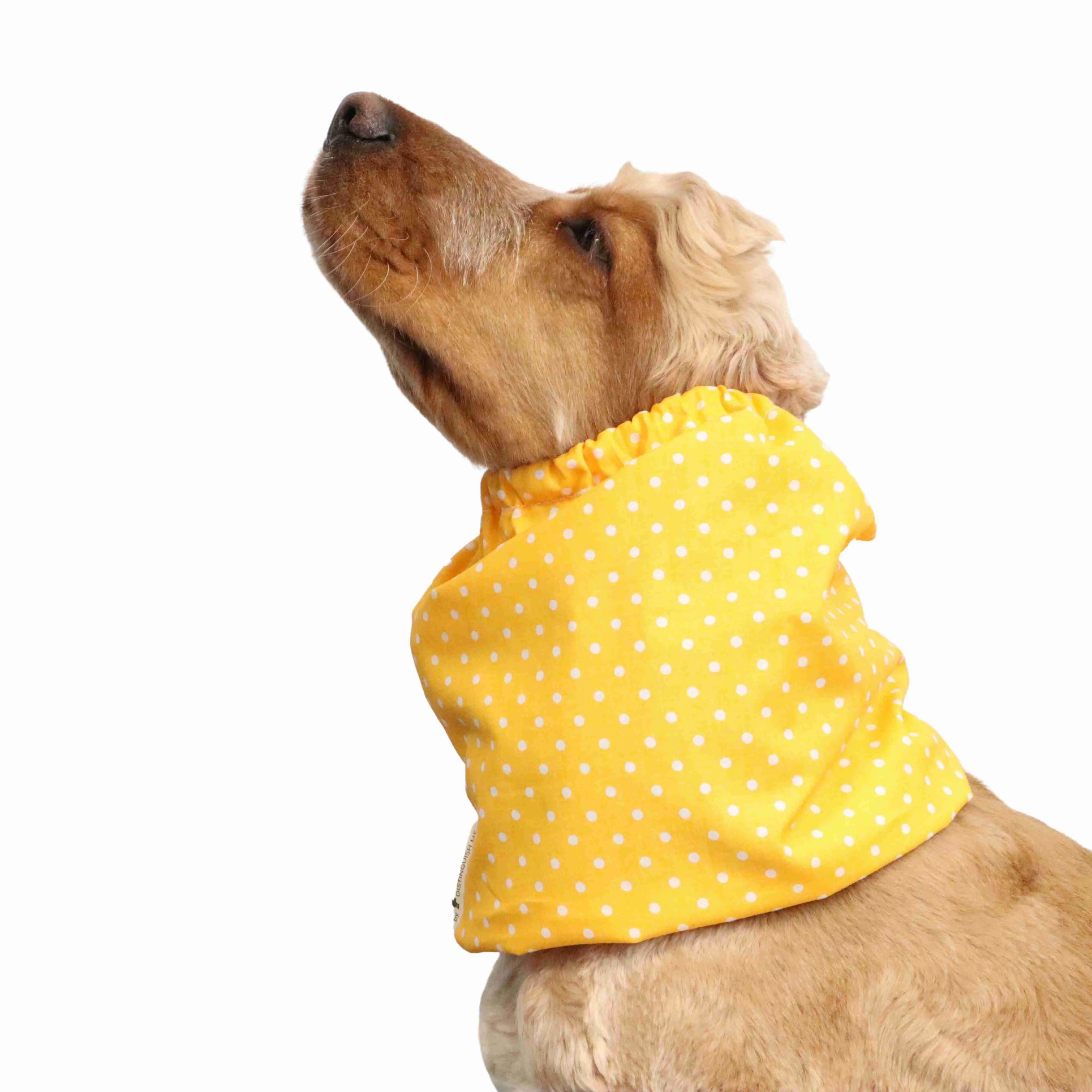 Cotton Dog Snood | Dots in Yellow