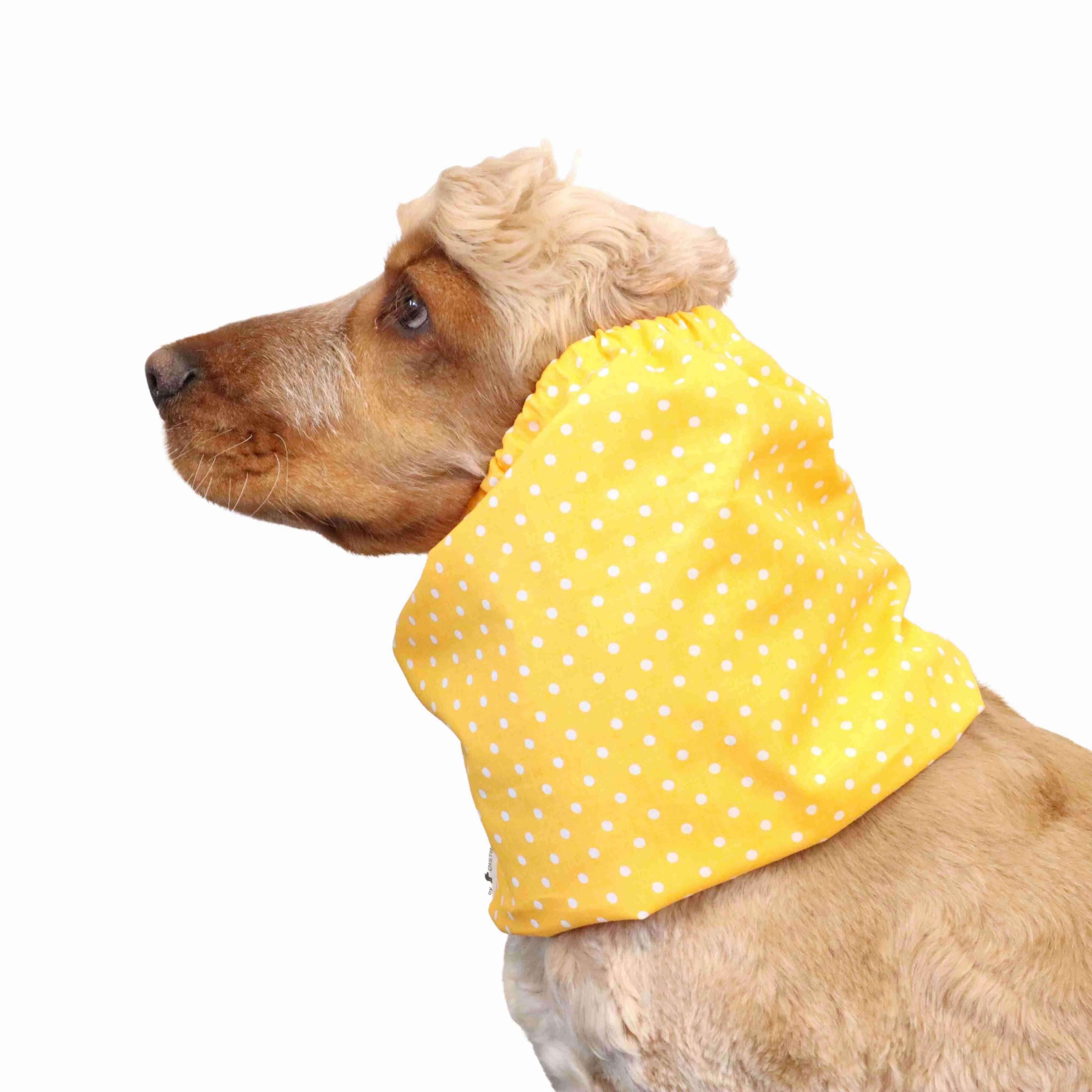 Cotton Dog Snood | Dots in Yellow
