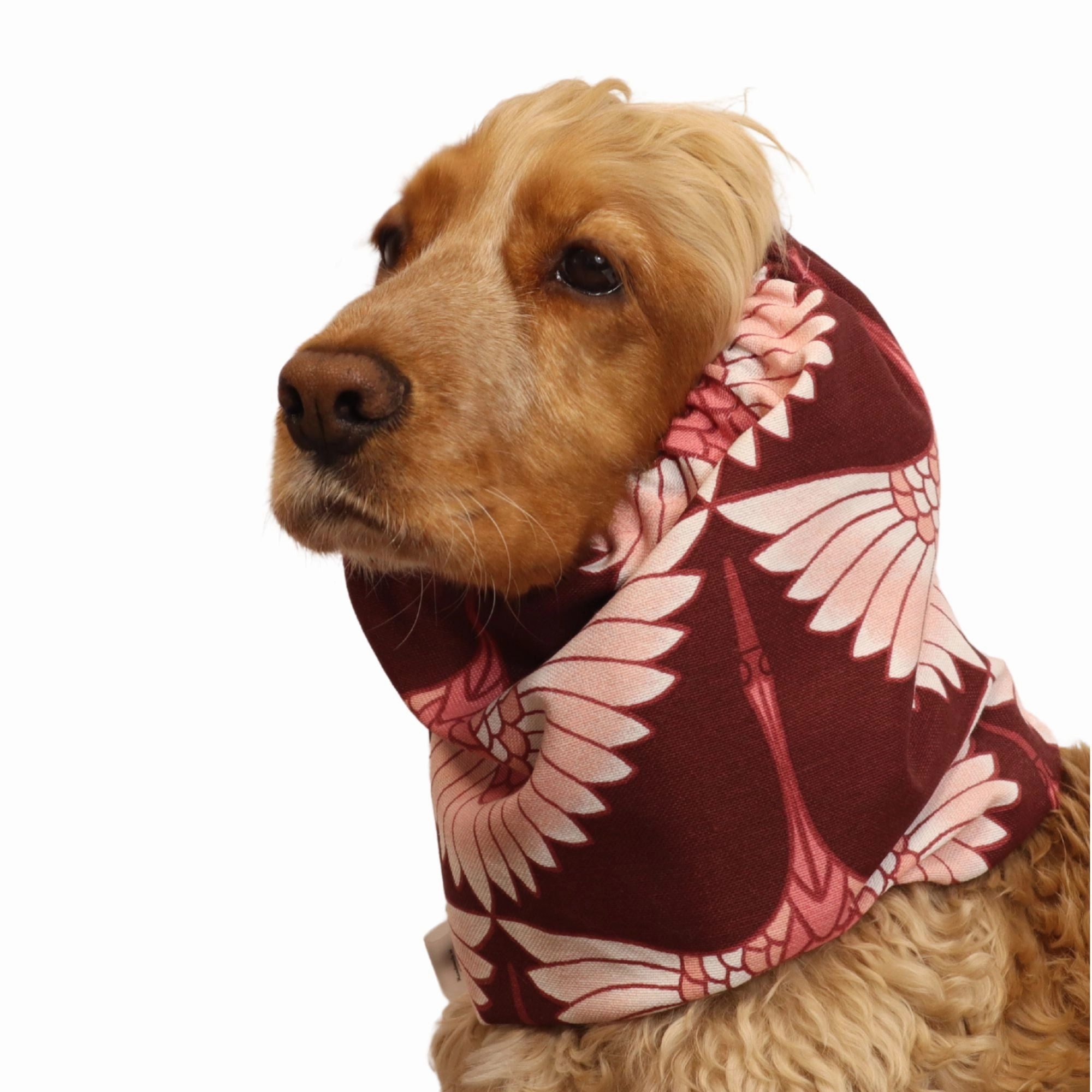 Cotton Dog Snood | Elegant Flight