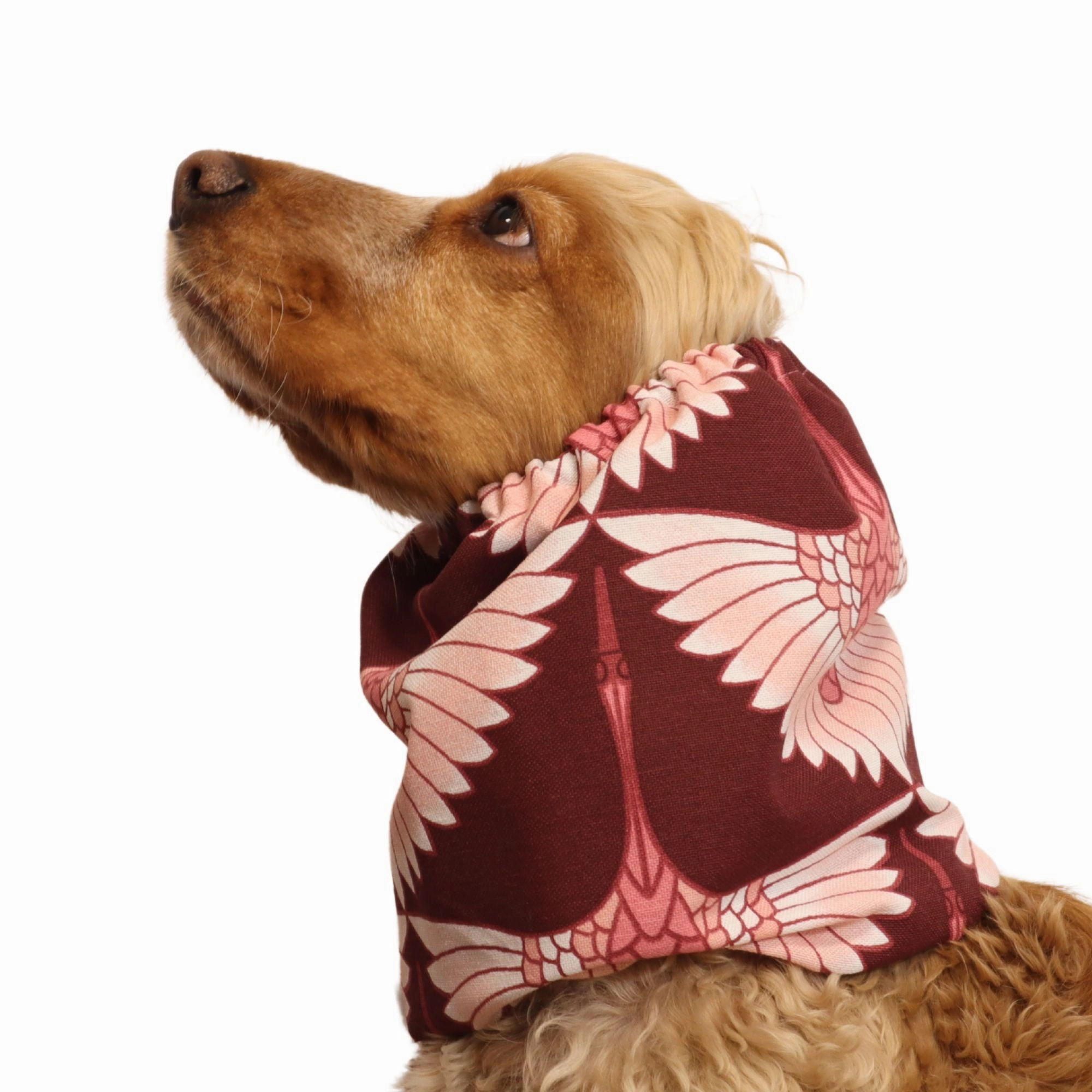 Cotton Dog Snood | Elegant Flight