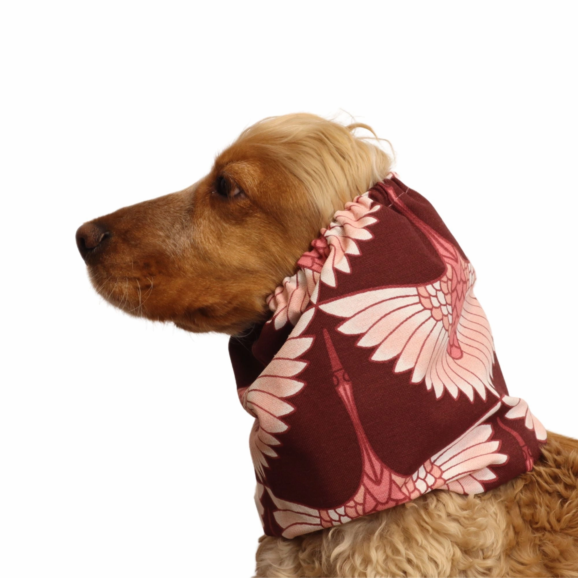 Cotton Dog Snood | Elegant Flight
