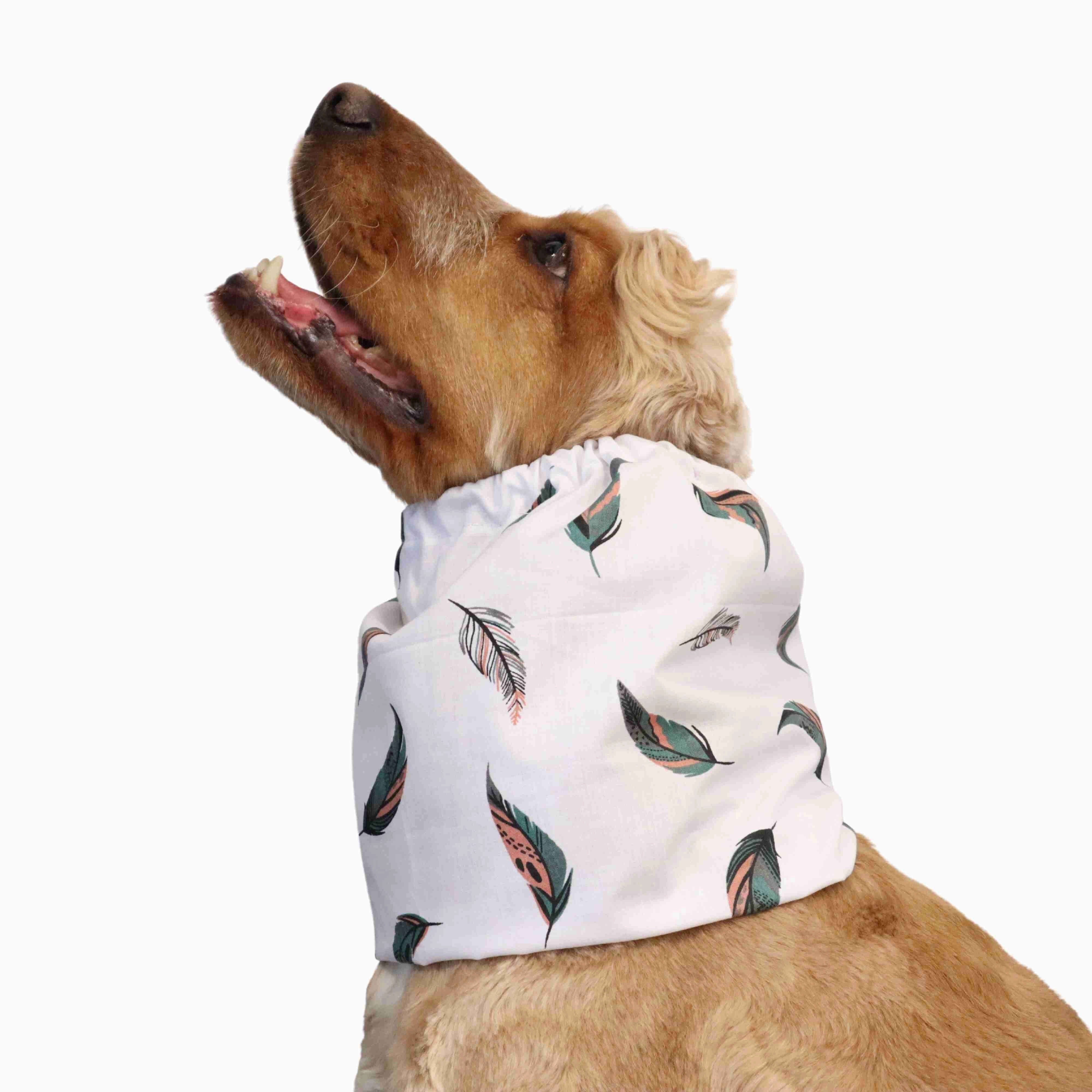 Cotton Dog Snood | Feather in White