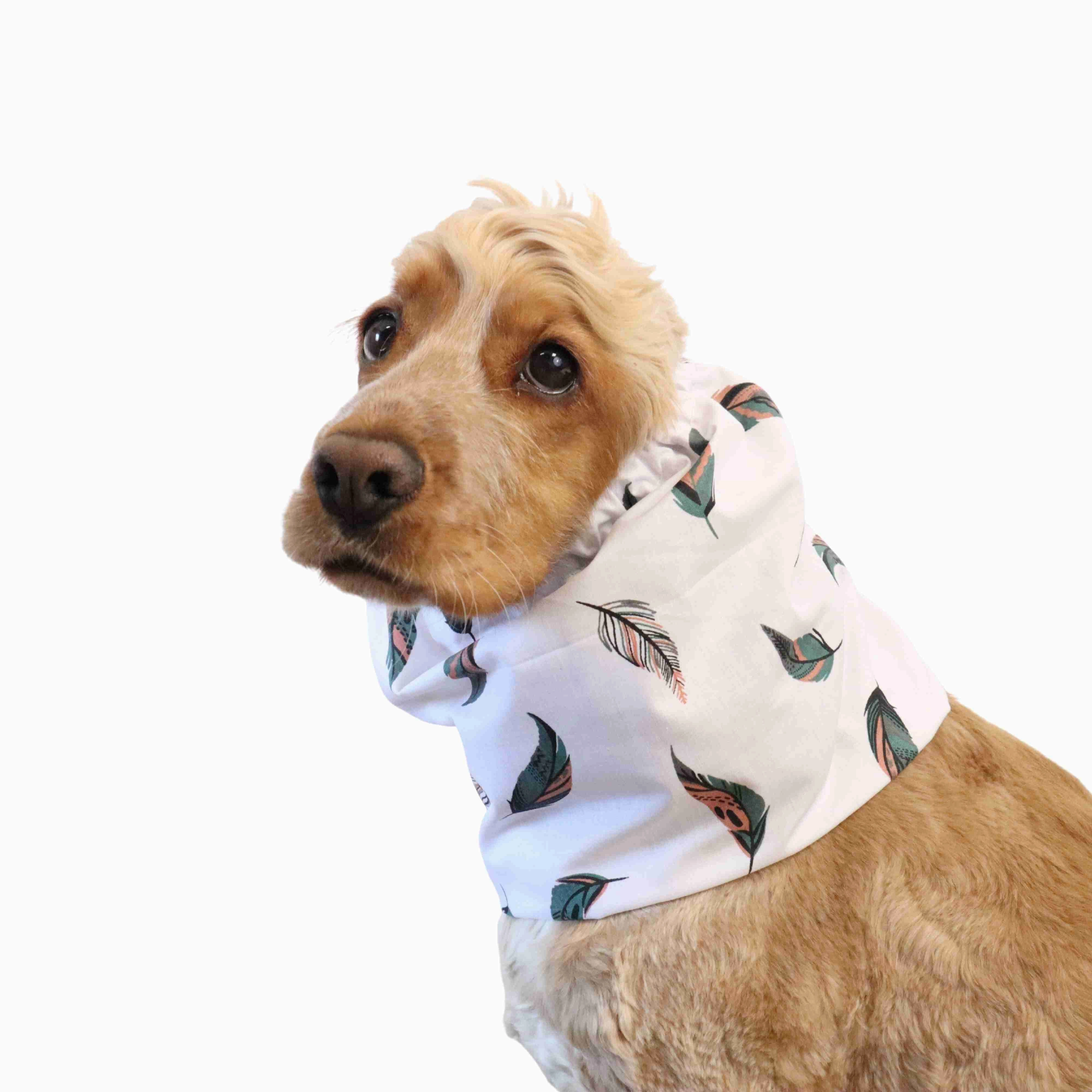 Cotton Dog Snood | Feather in White