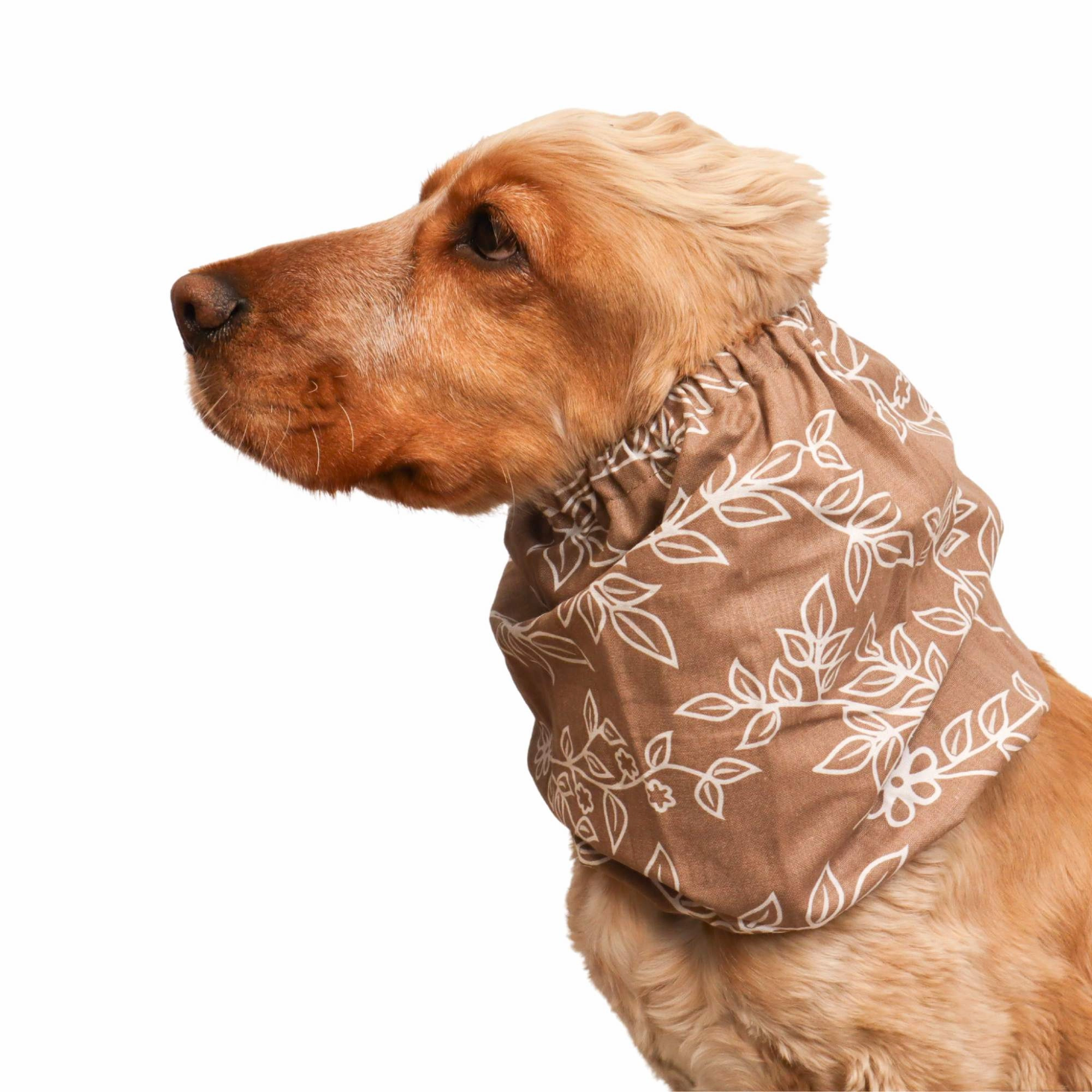Cotton Dog Snood | Feuille Douce
